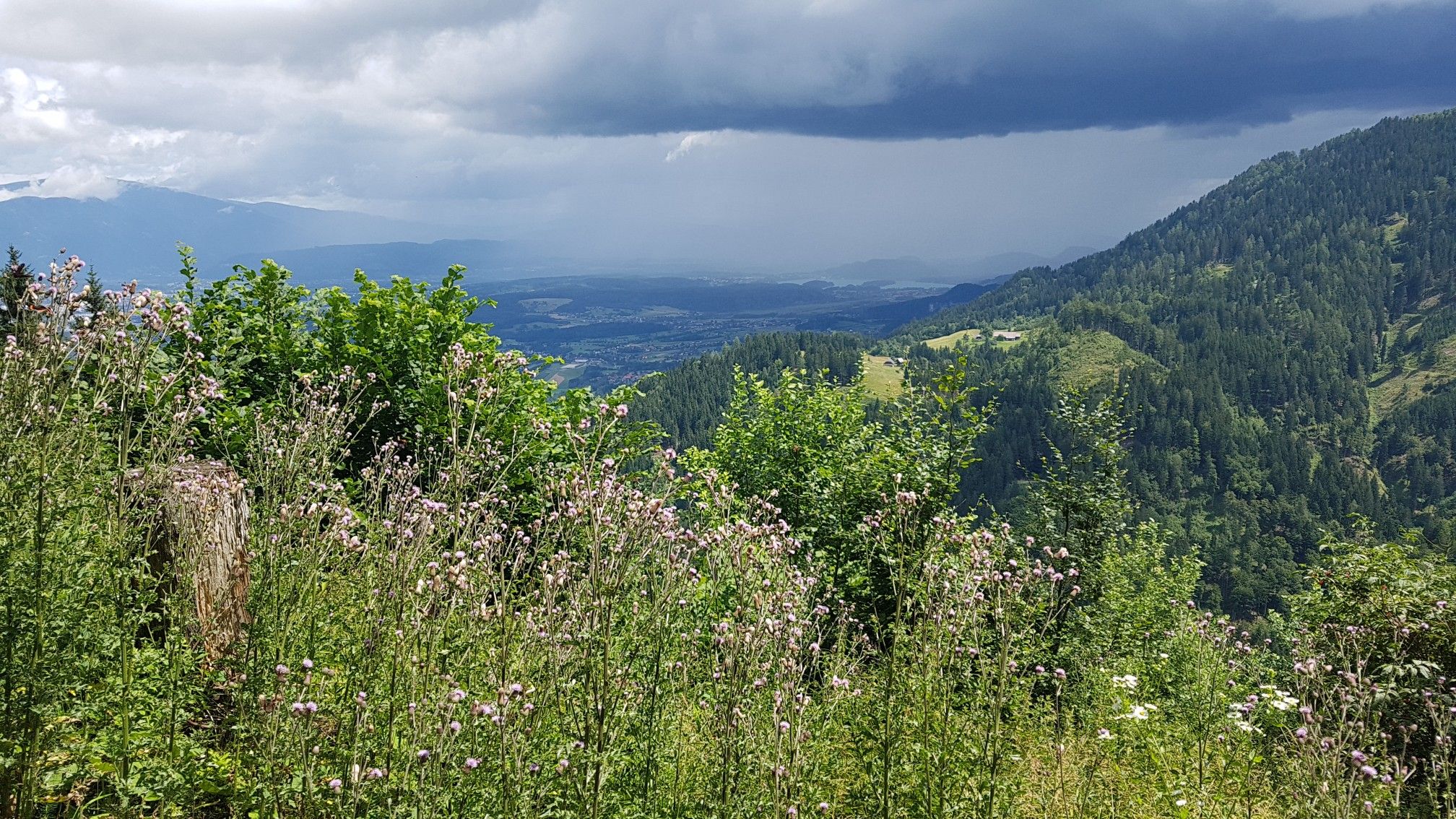 Wetterglück