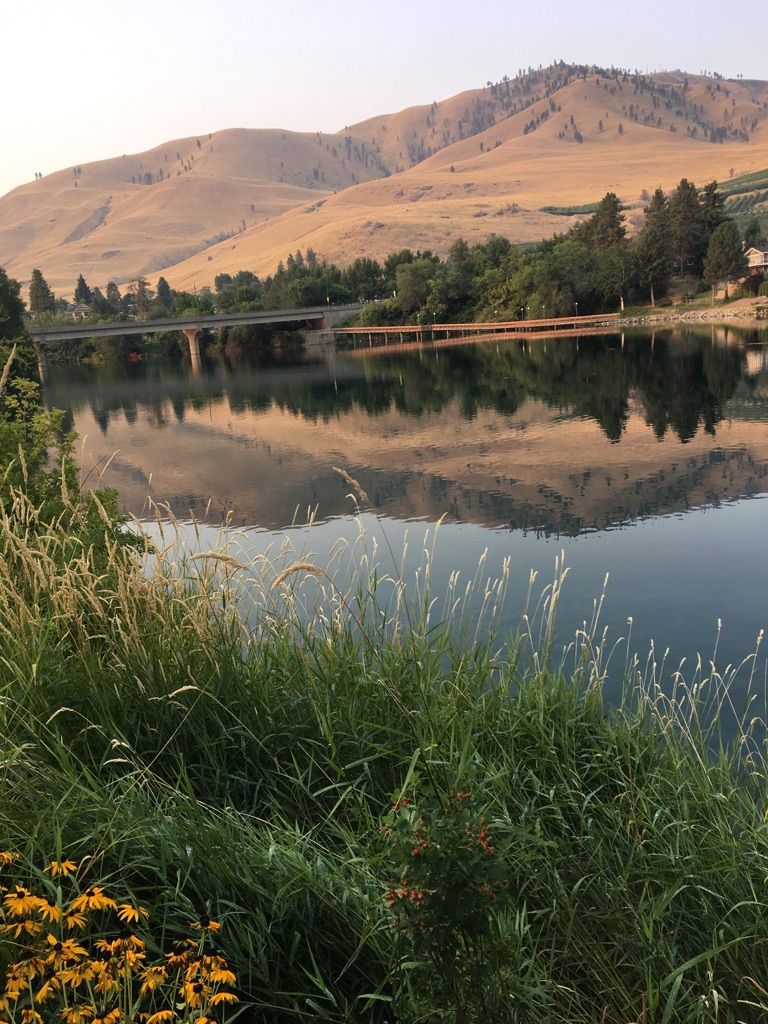 Calm lake reflects distant mountains and a bridge, with tall grass in foreground. - Chelan Riverwalk Loop