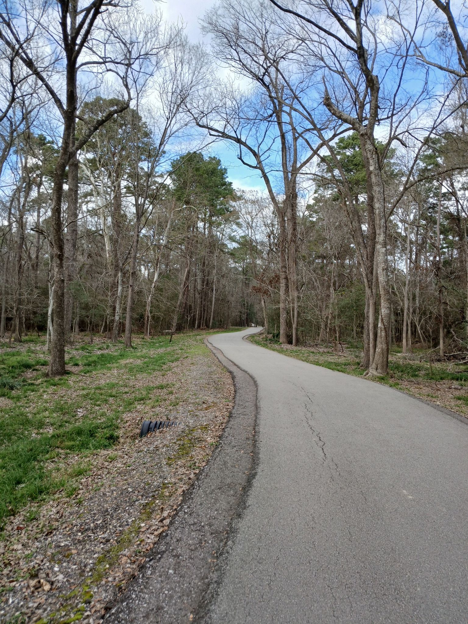 A winding paved road through a forest with bare trees and grassy edges. - Spring Creek Greenway and Canoe Launch Loop