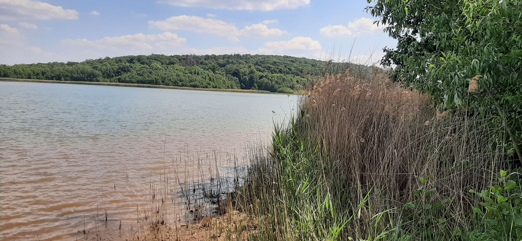 Am Reihersee