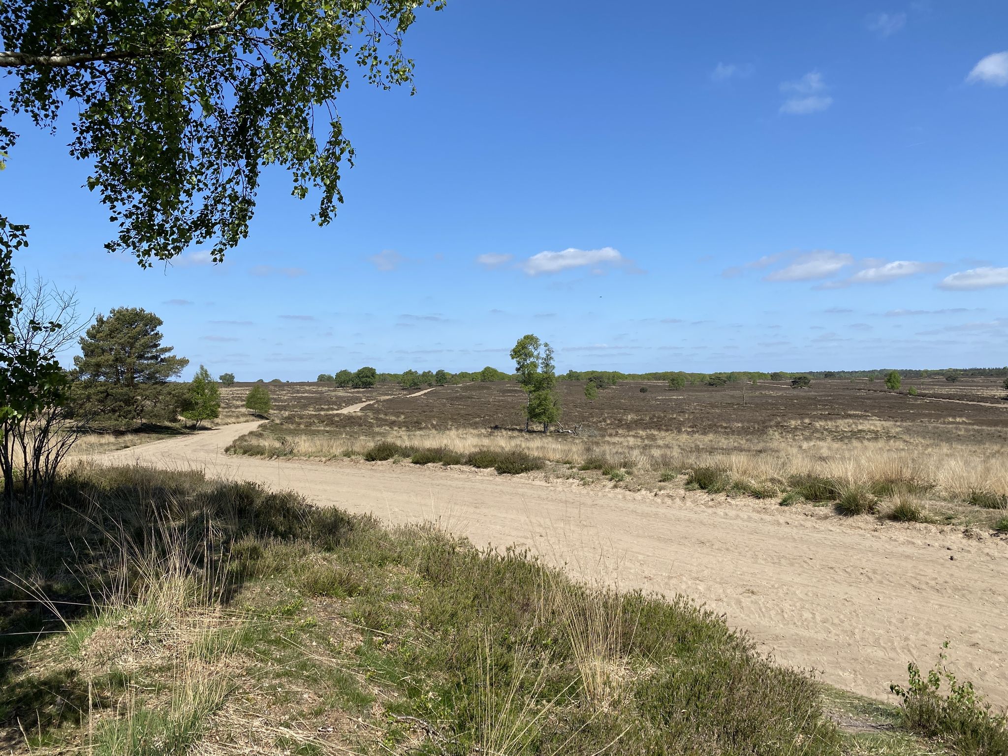 Ermelose Heide