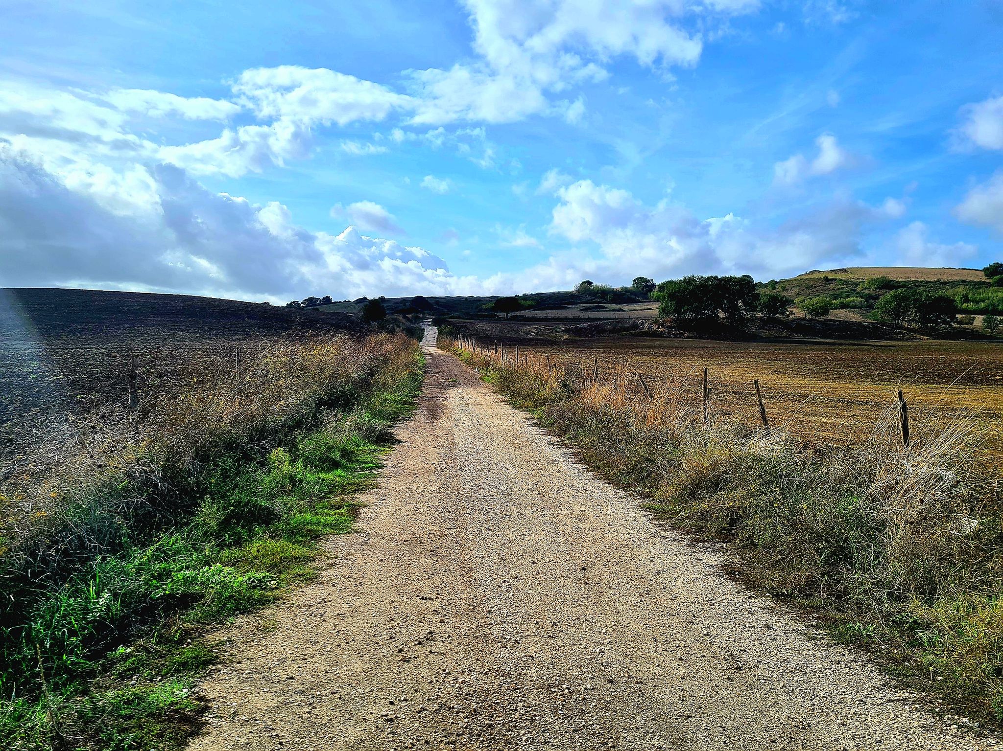 Strade bianche della campagna romana