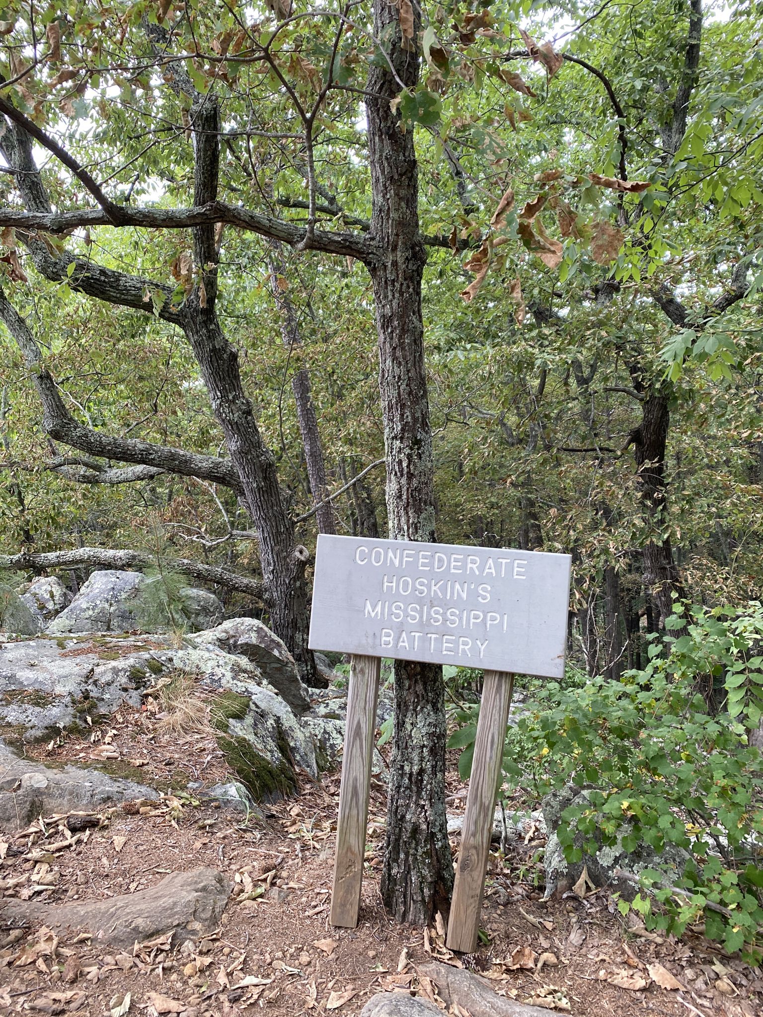 A wooden sign stands by a tree on a rocky, forested path under natural light. - Historic CCC Camp T.M. Brumby – Pigeon Hill loop from Kennesaw Mountain