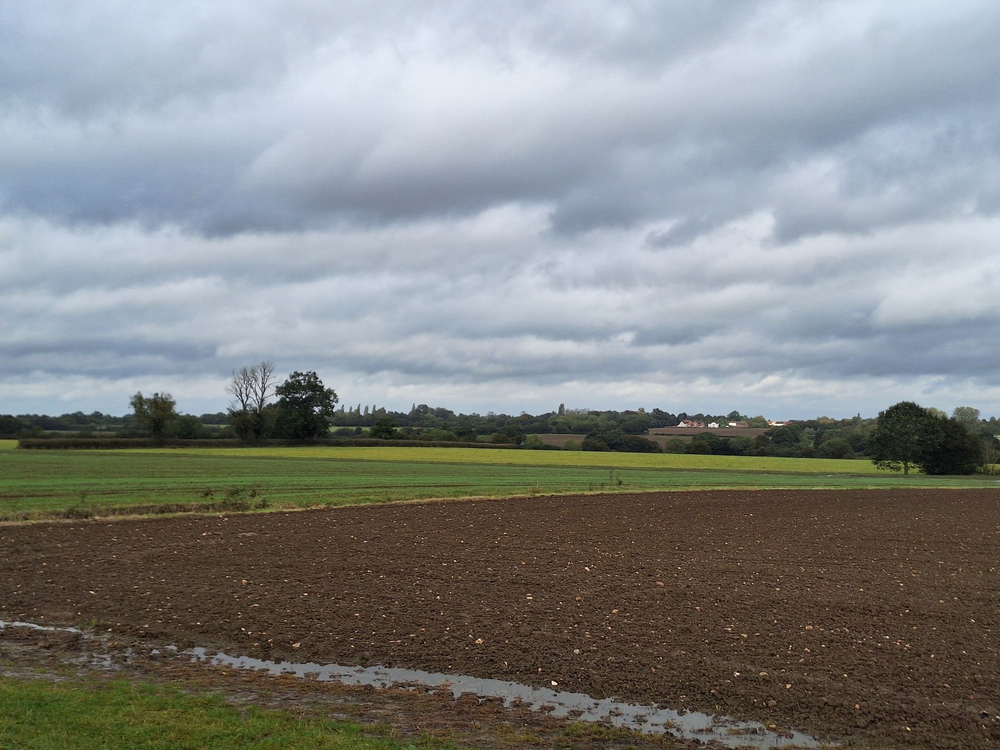 fields