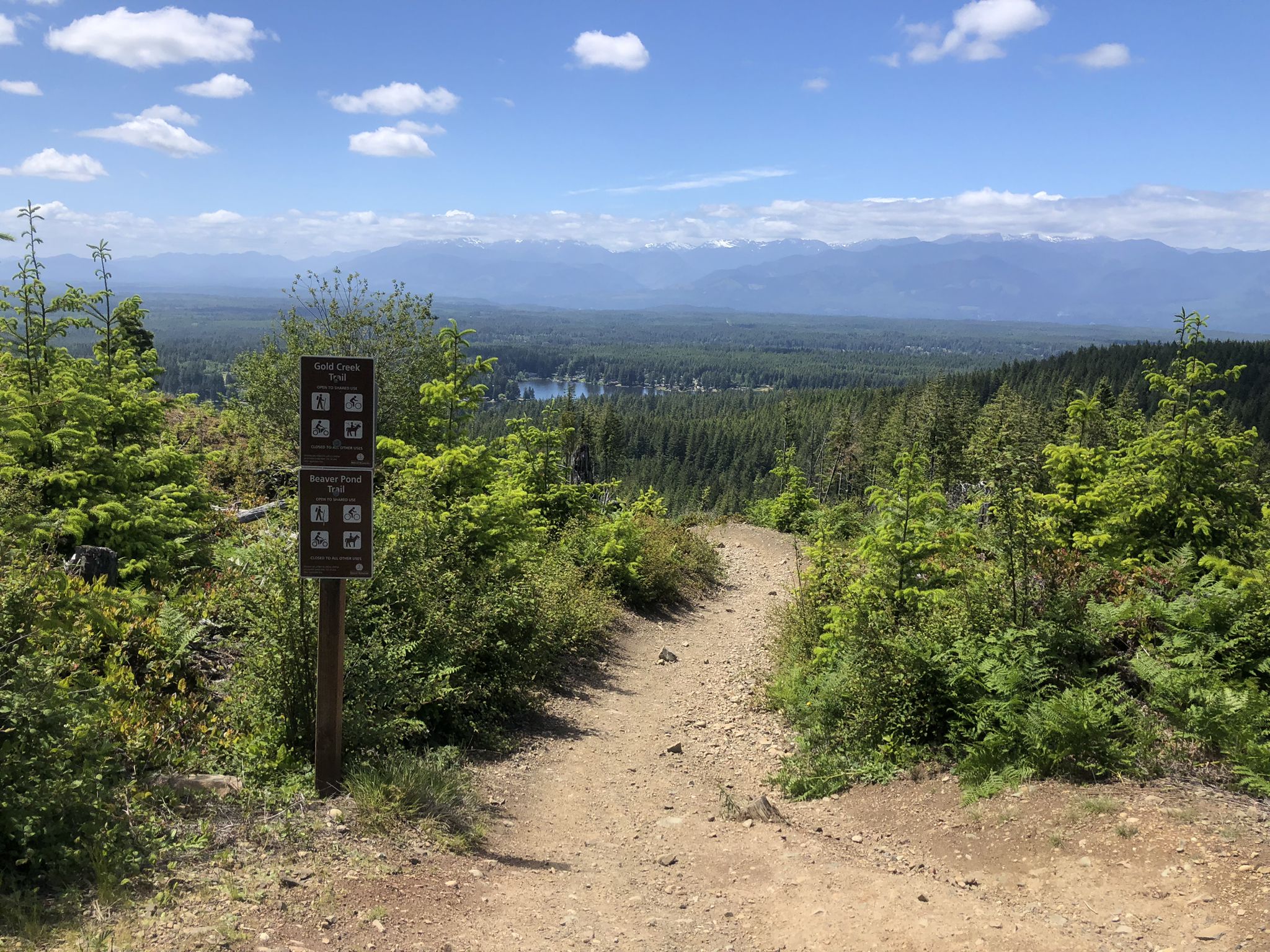 Dirt path descends from a viewpoint, overlooking a forested valley and distant mountains. - Green Mountain Loop – Green Mountain State Forest