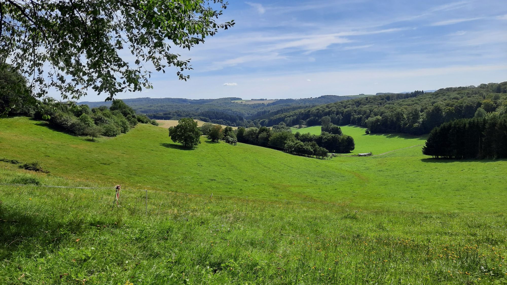 Talblick