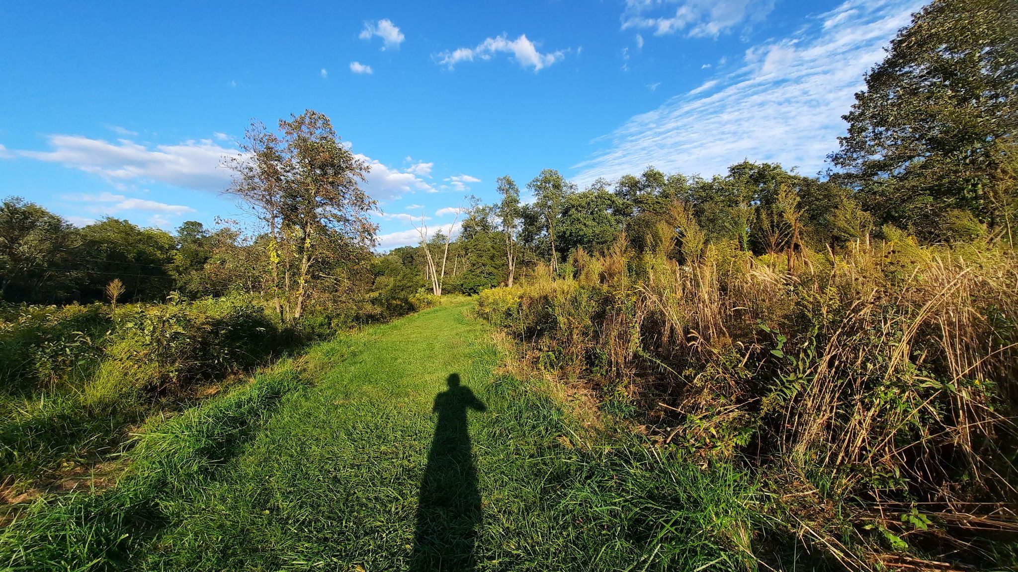 yes, it's a nice meadow. however...