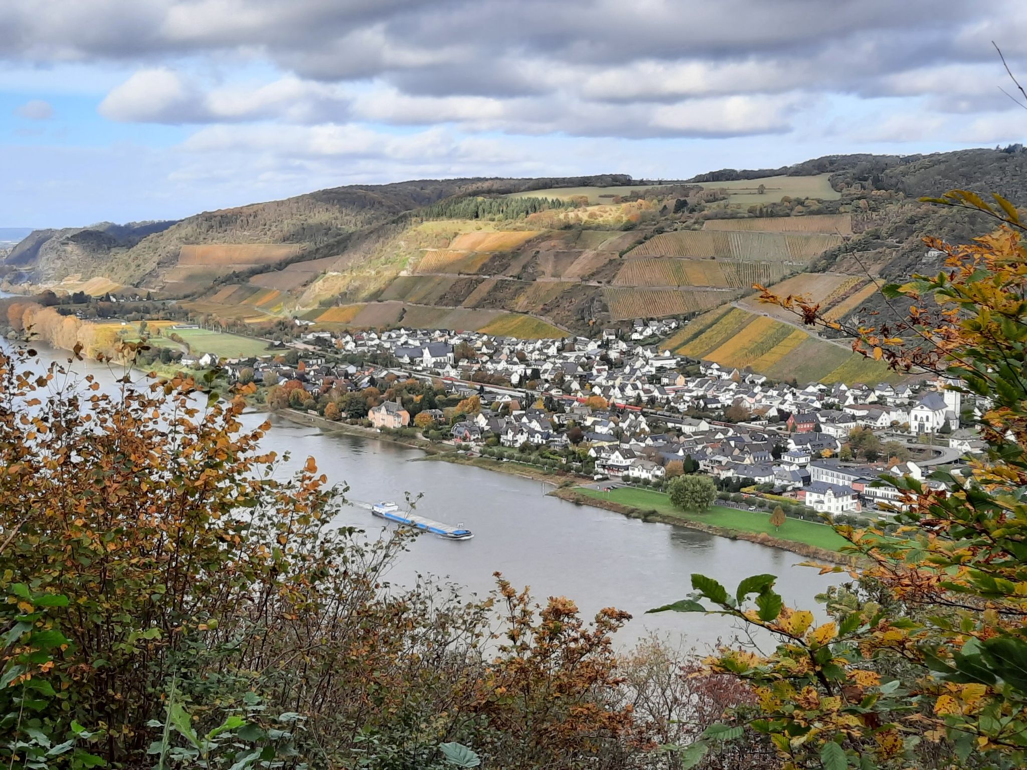 Blick auf Andernach und Rhein