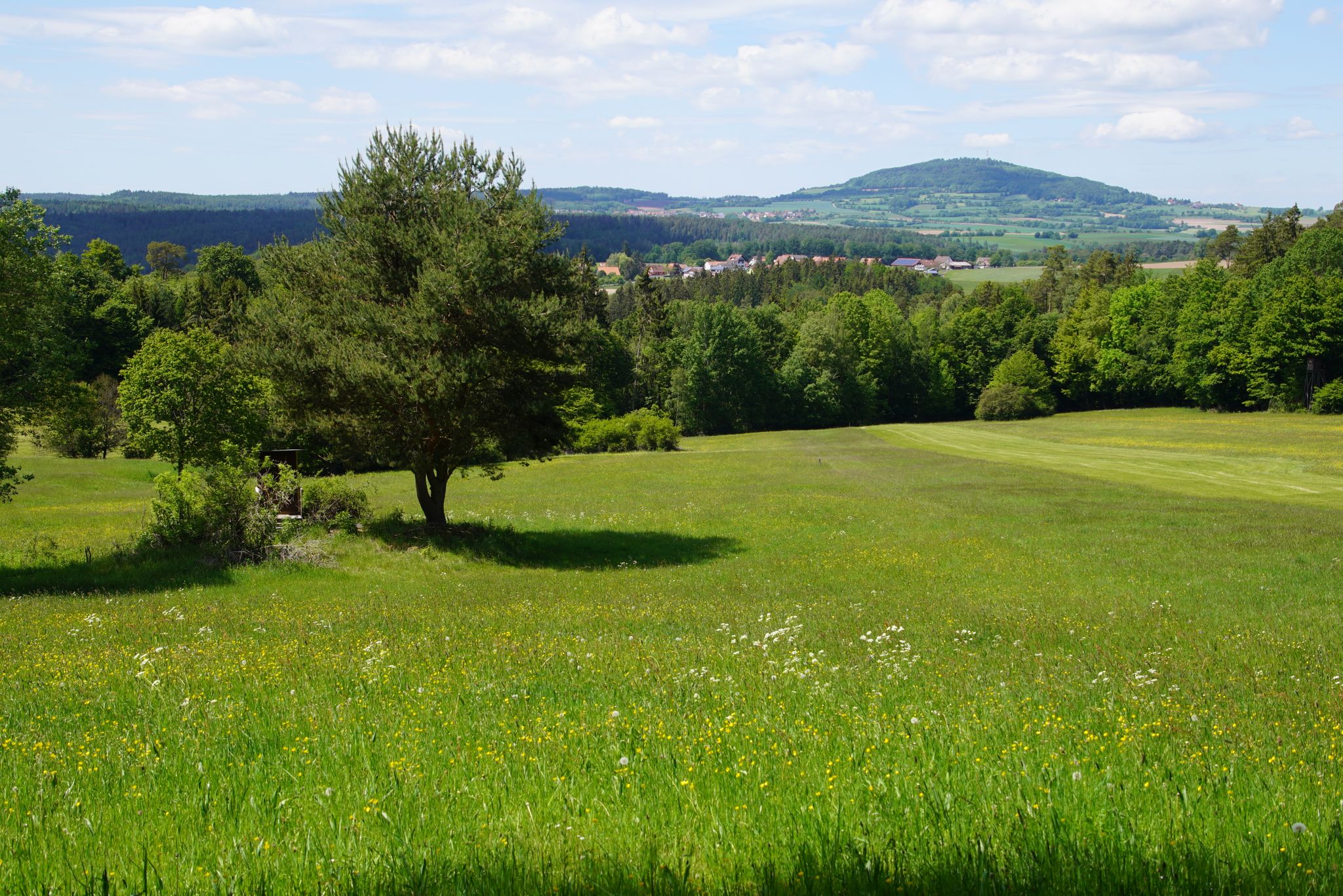 Blick auf den Dreistelz (am Osterrain)