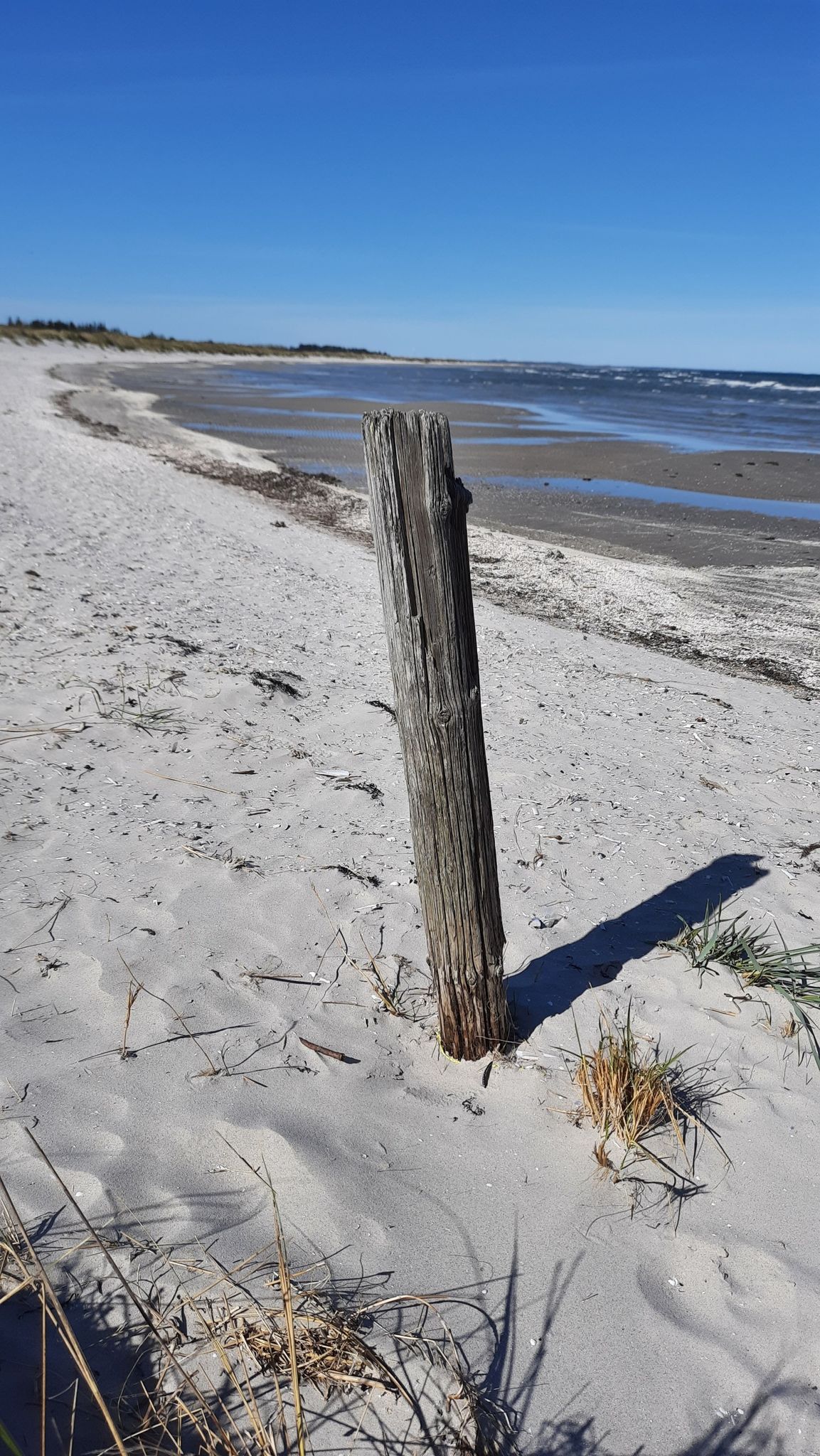 Hou strand