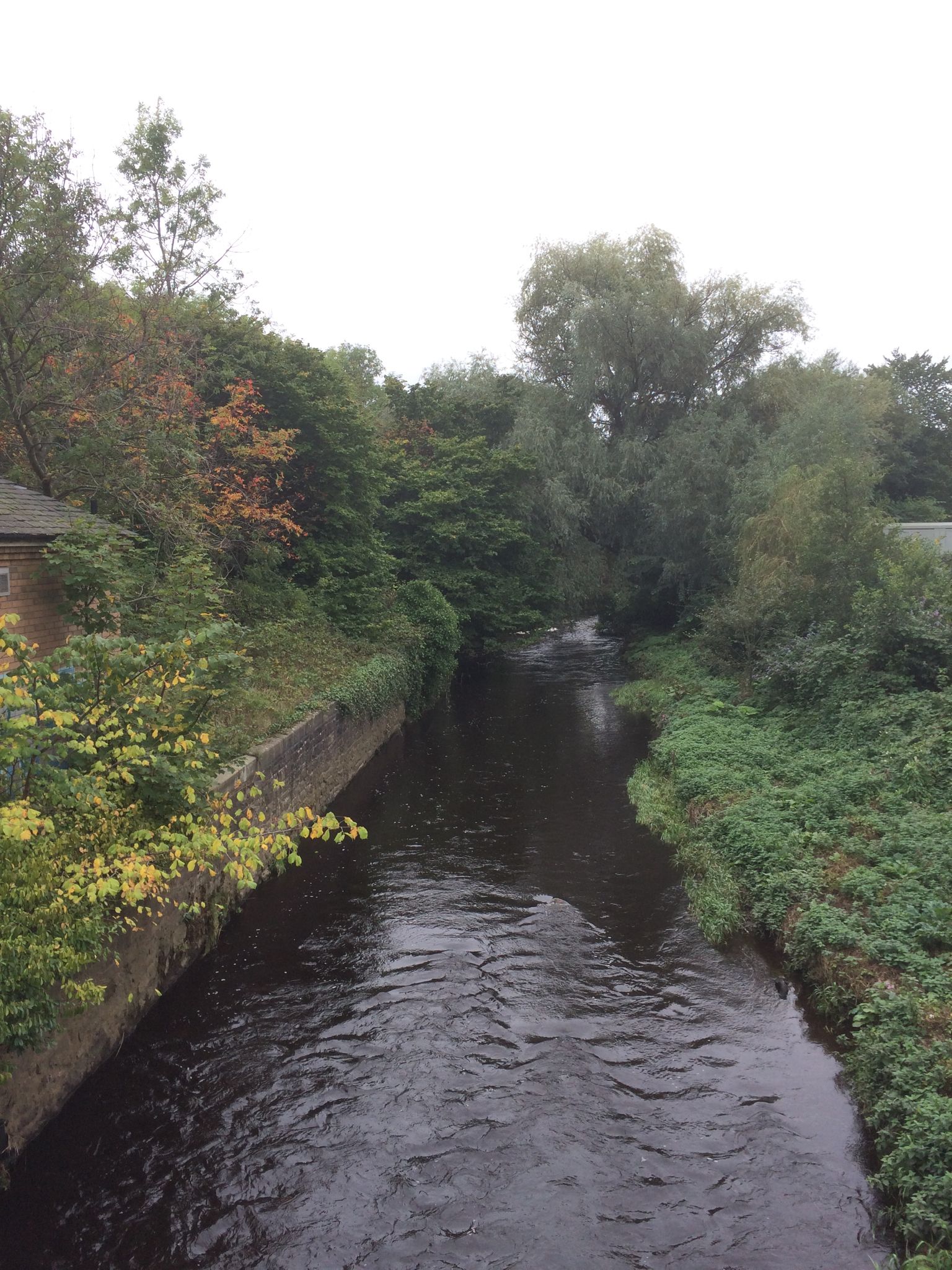 Water of Leith
