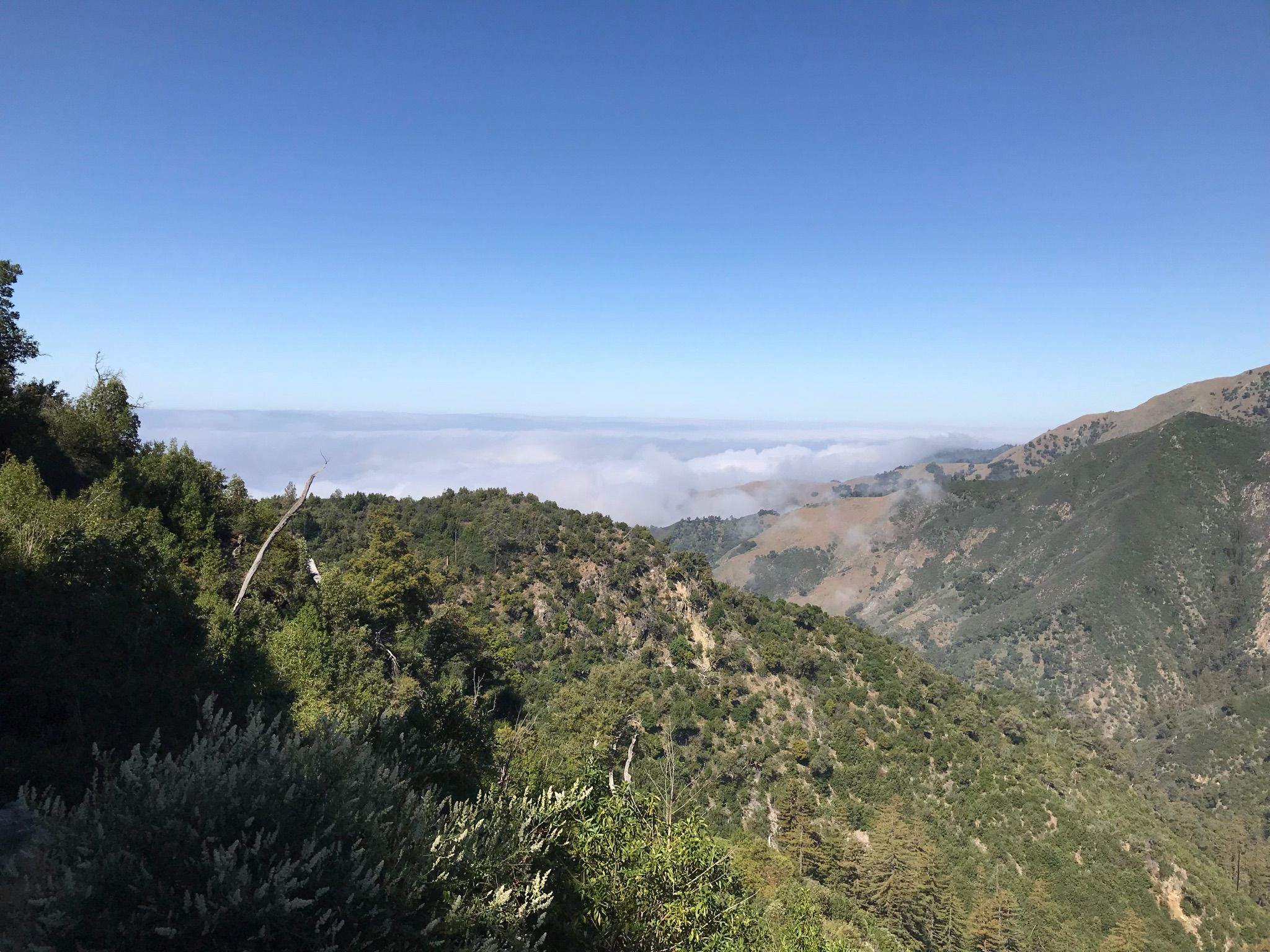 Lush green mountains overlook a valley filled with white clouds under a clear sky. - Cone Peak via Vicente Flat Trail