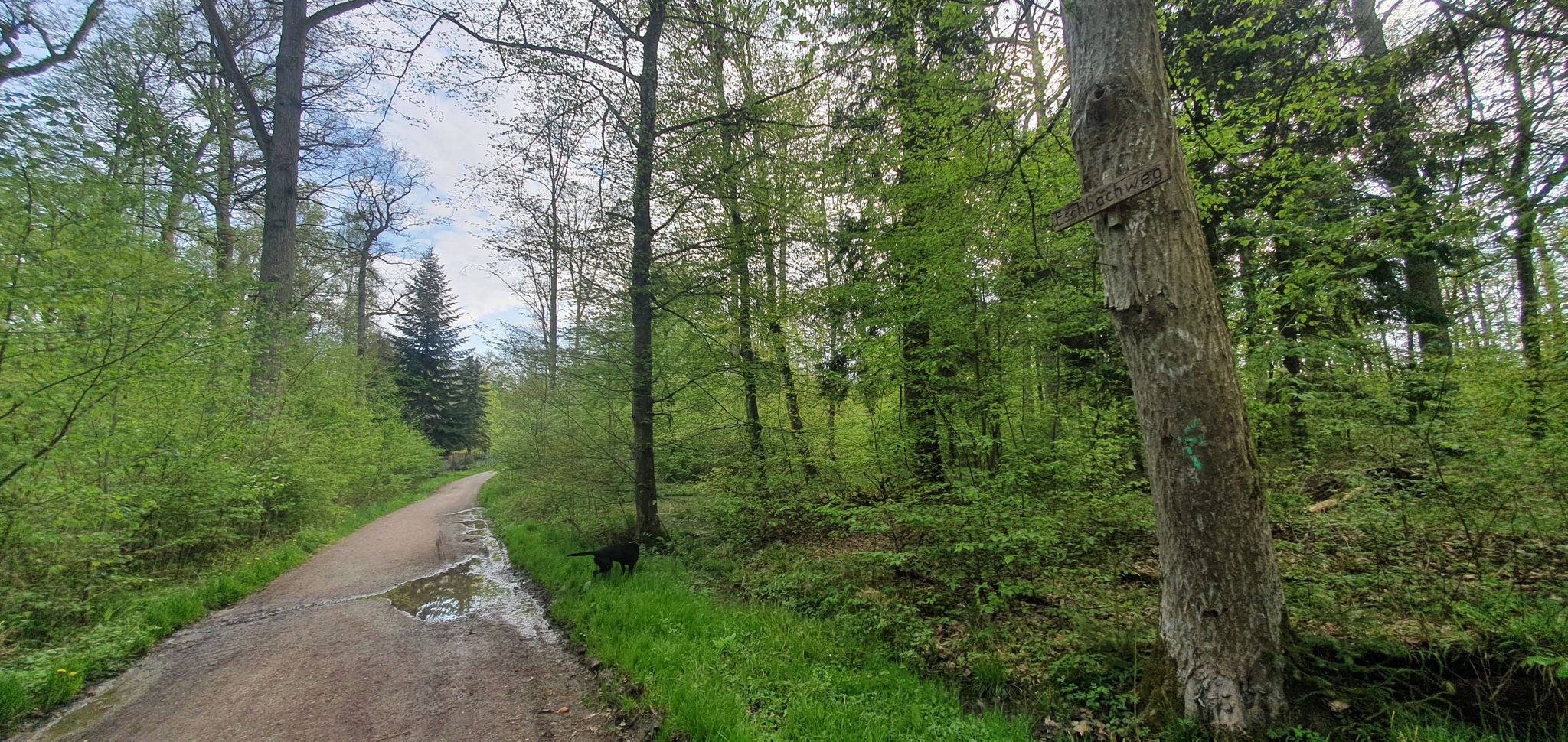 Eschbachweg