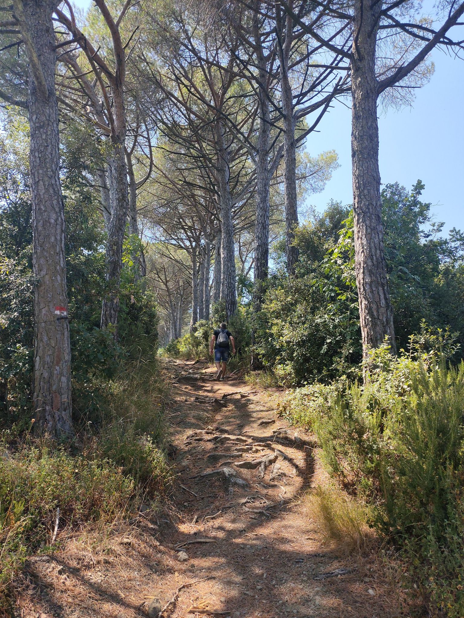 mooie tocht