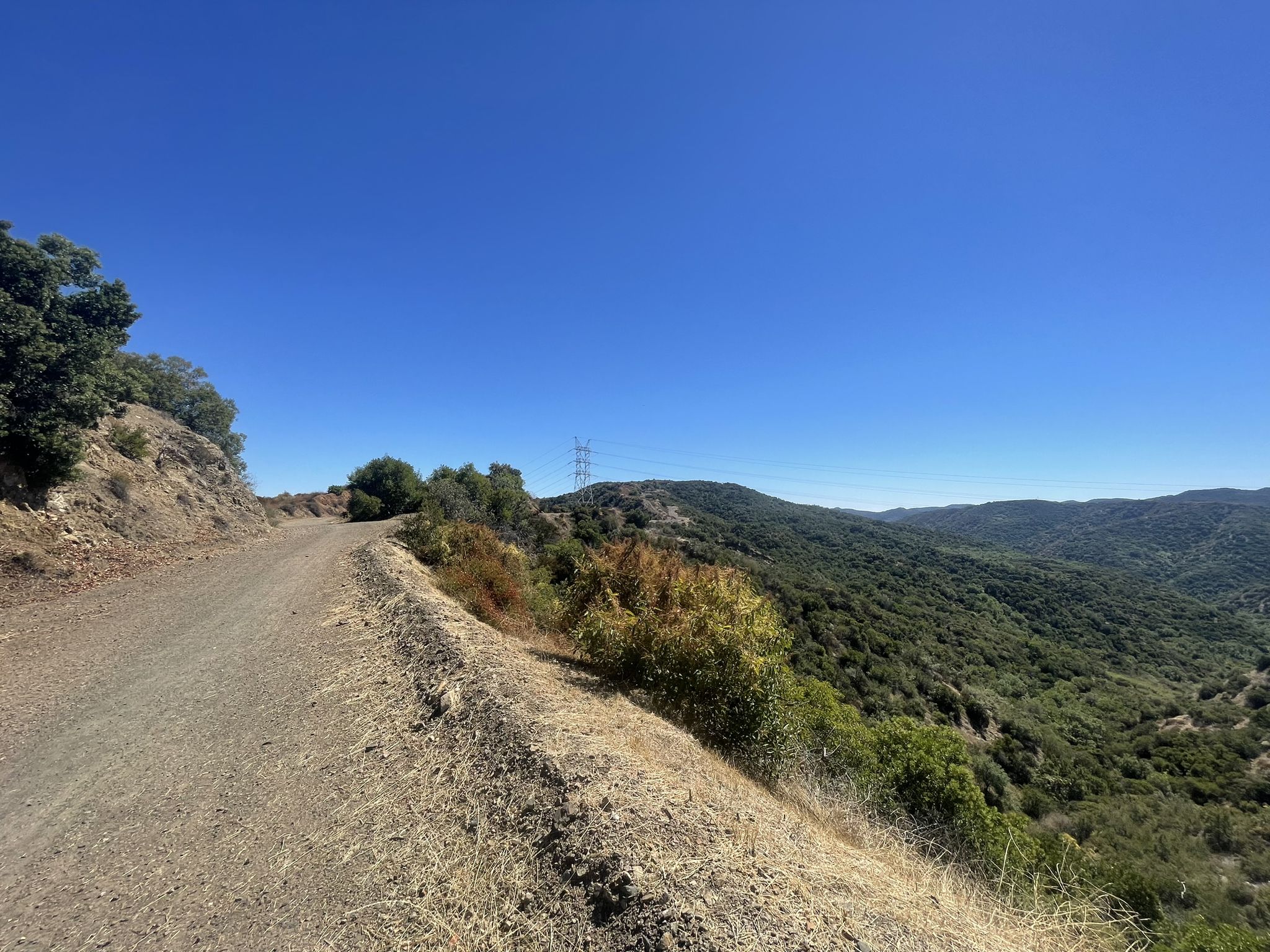 Dirt road winding through green and dry hills under a bright blue sky. - San Vicente Mountain Viewpoint – West Mandeville Fire Road loop from Will Rogers State Historic Park