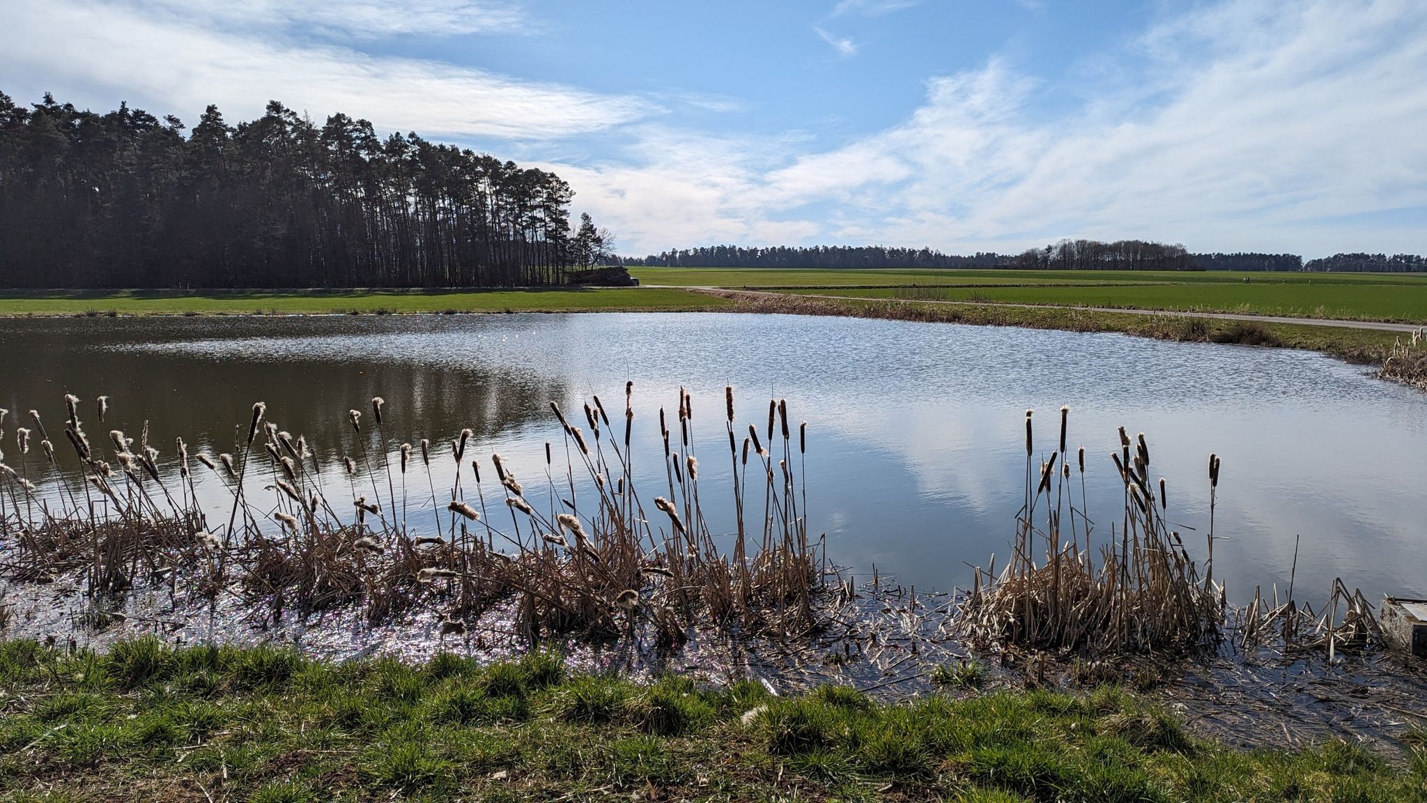 Dennenweiher