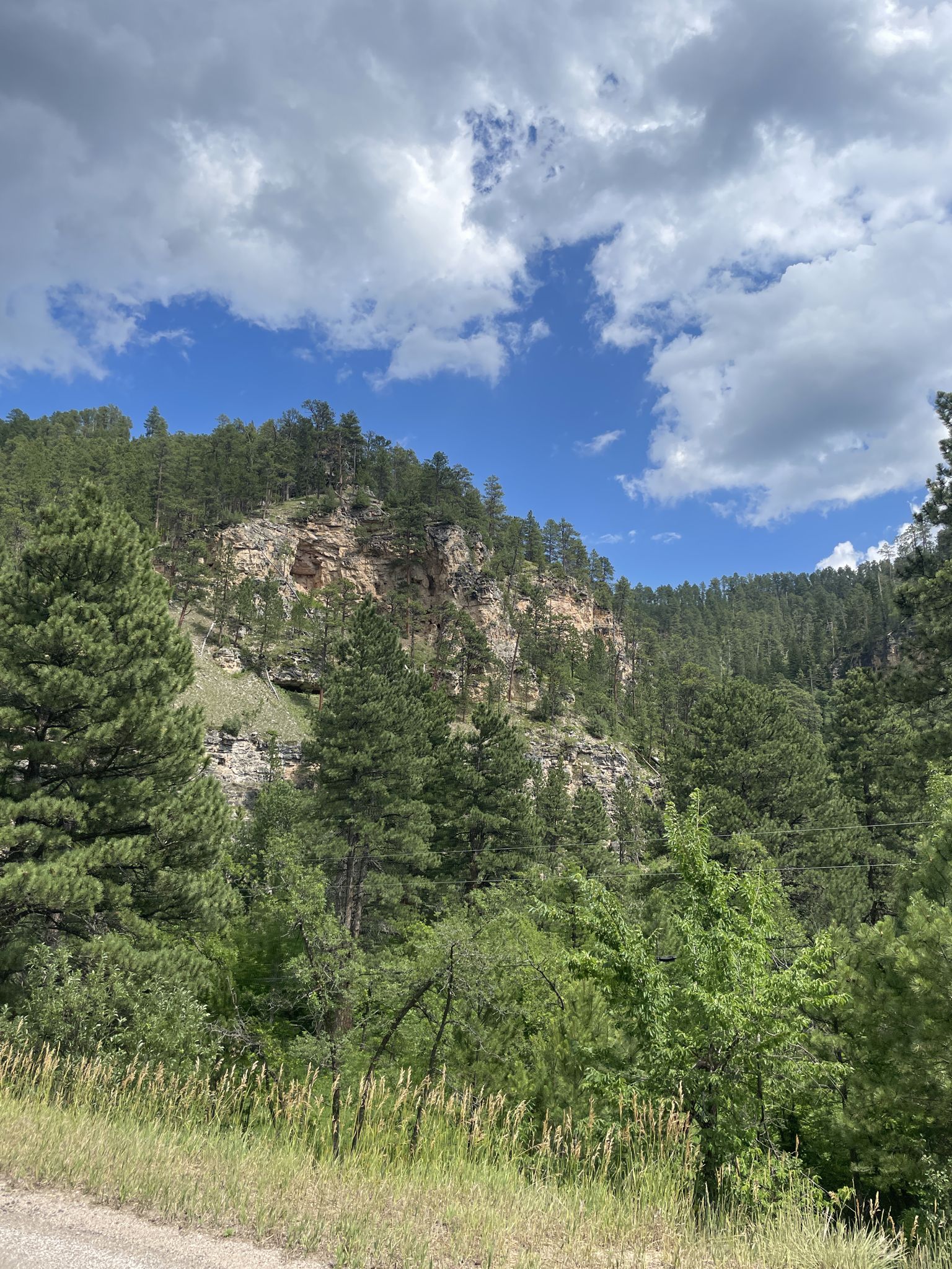 Lush green forest and a rocky cliff face under a bright blue sky. - Bridal Veil Falls loop from Ward 2