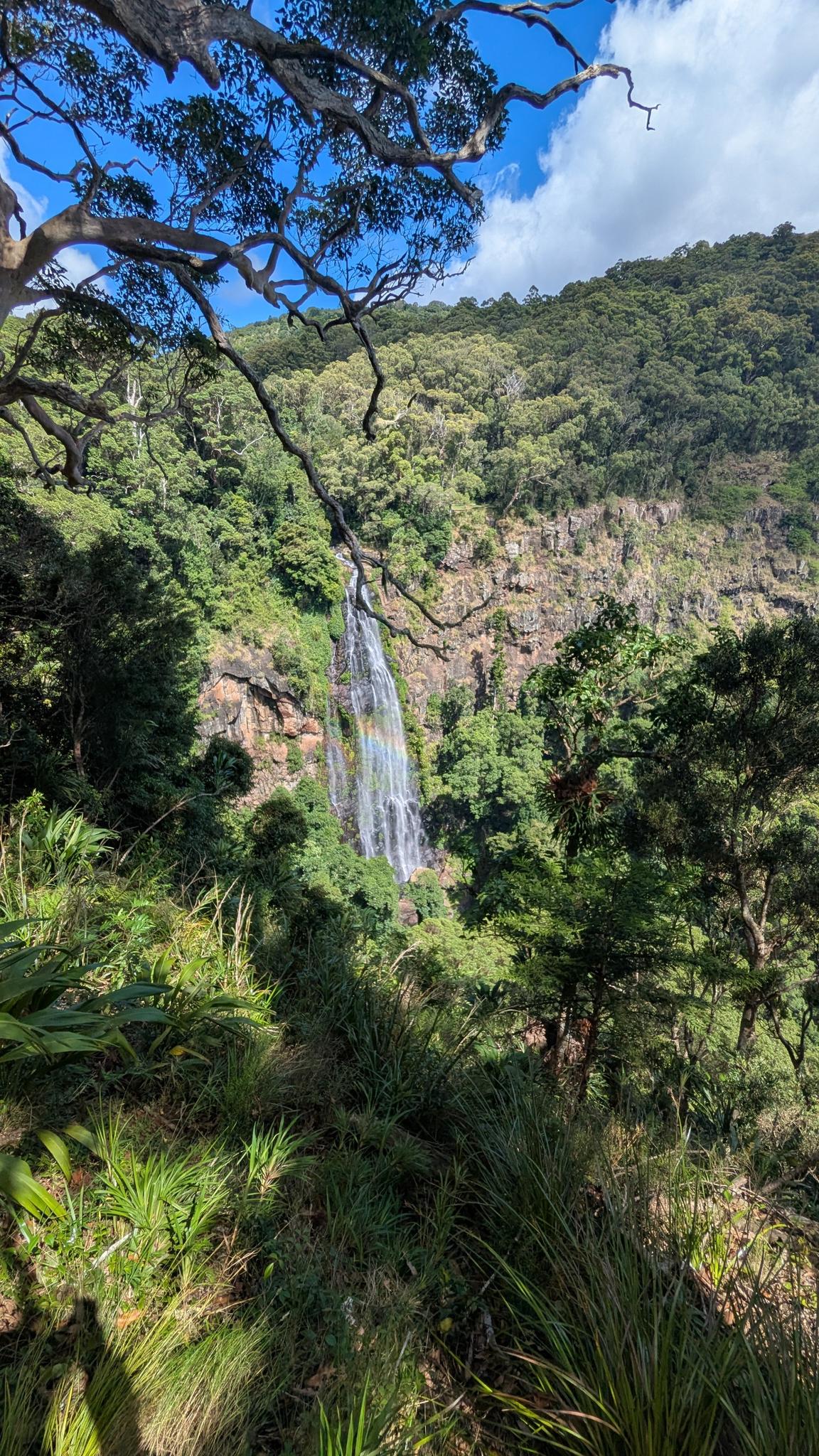 Cosa fare nei dintorni di Border Ranges National Park