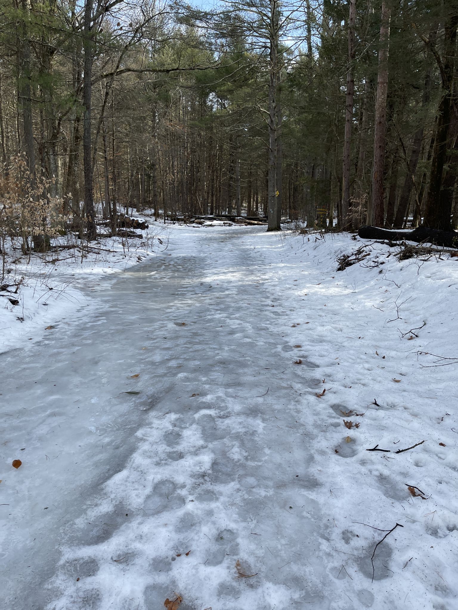 Icy, snow-covered forest path with footprints leading into the woods. - Nepaug State Forest loop from Nepaug State Forest