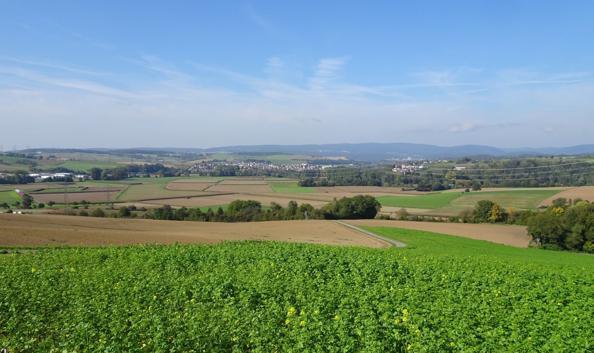 Blick über Meckesheim in Richtung Nordwest