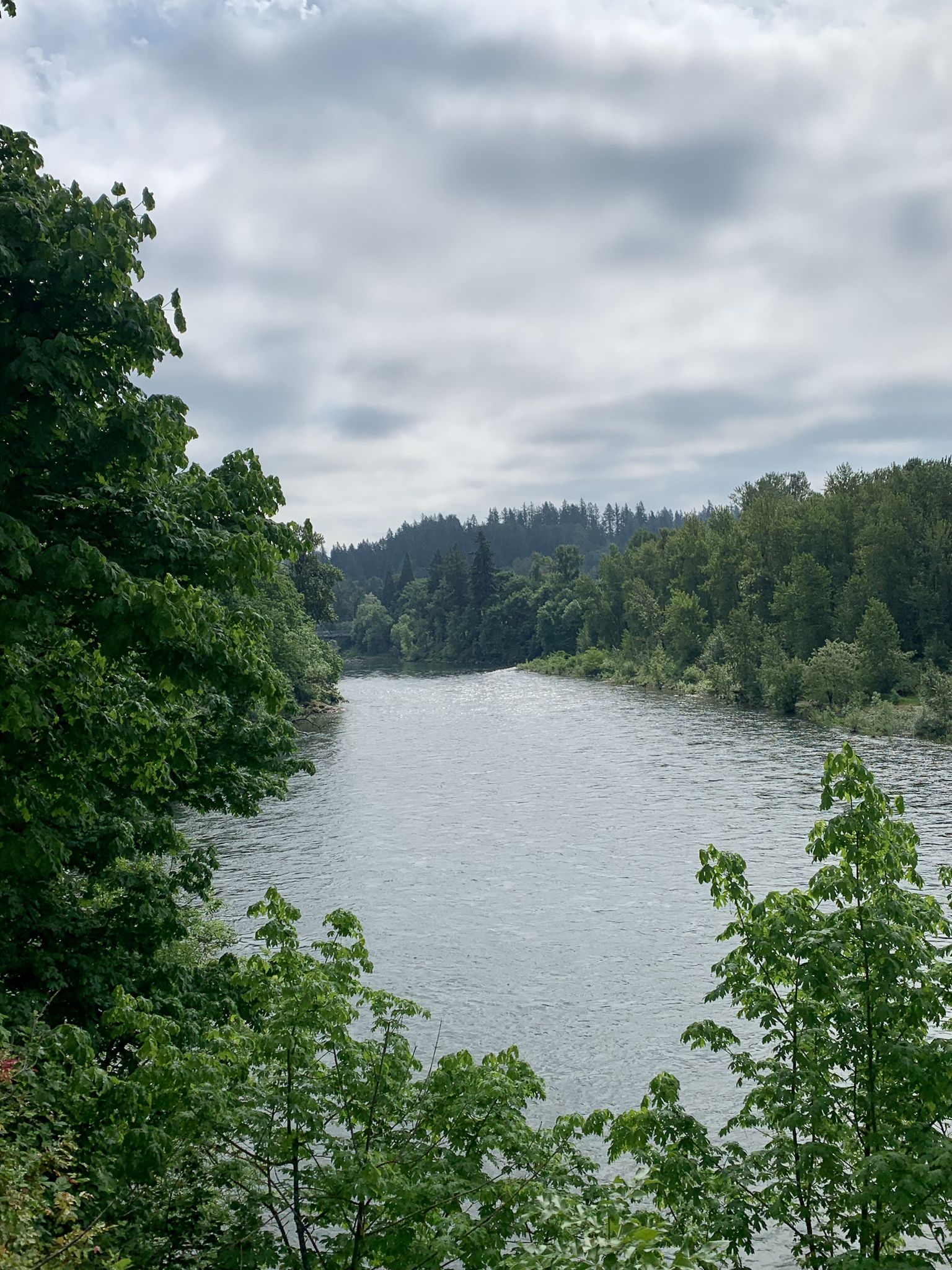 Wide river framed by lush green trees under a cloudy sky. - Trolley Trail Loop