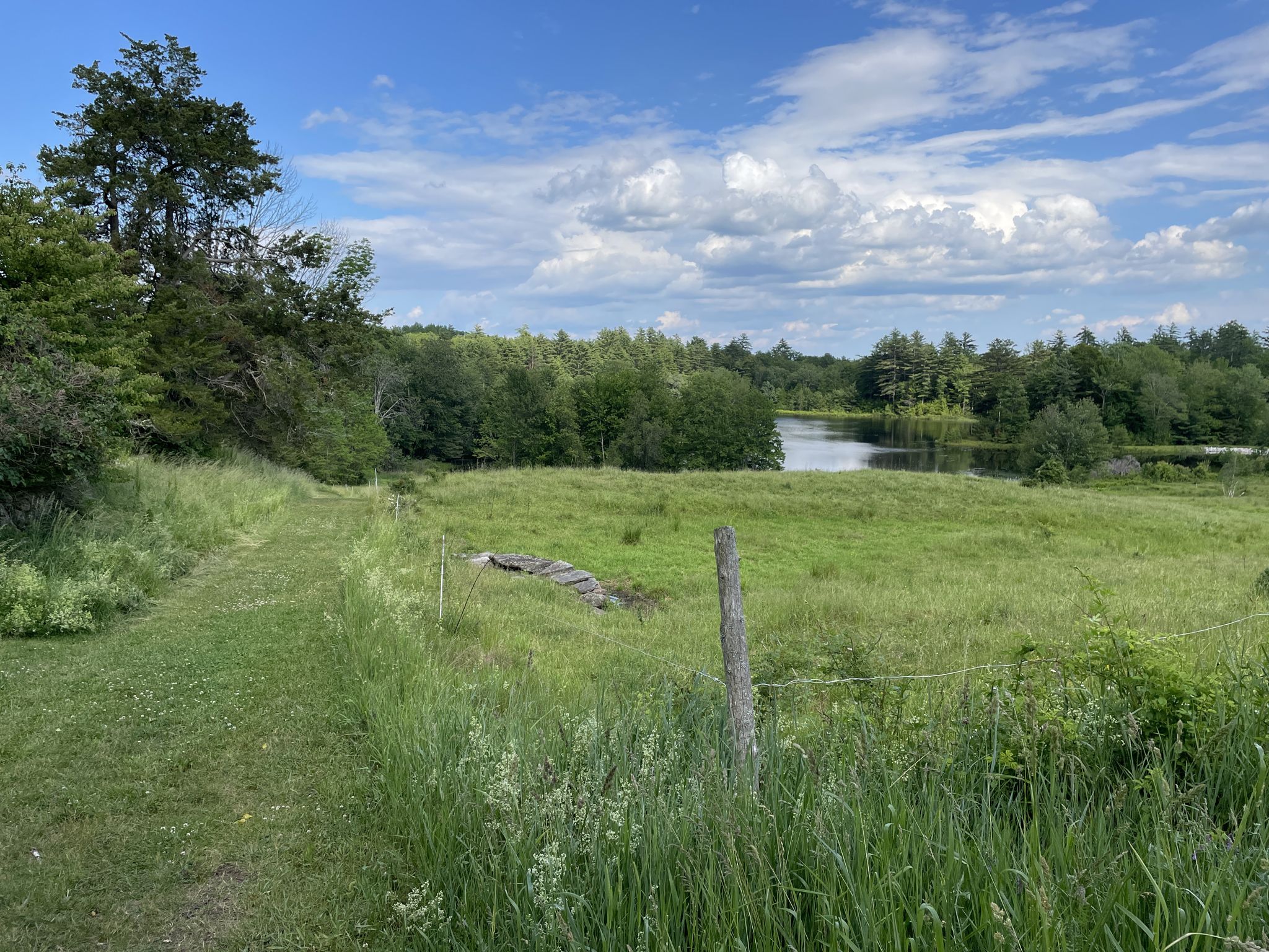 Grassy path leading to a lake surrounded by trees under a partly cloudy sky. - Turning Mill Pond Trail