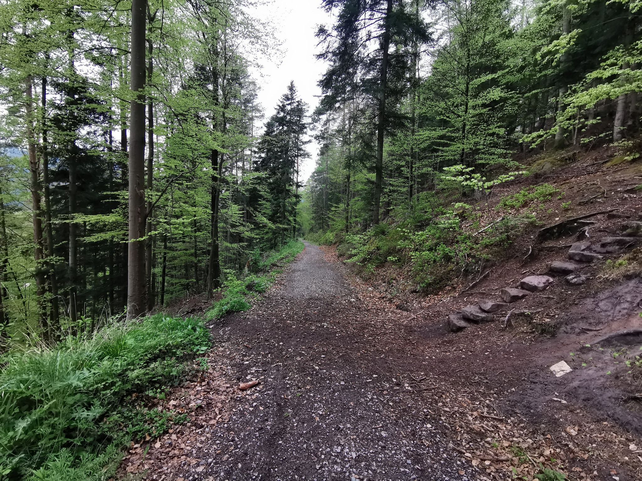 ↙️ da runter und von dort gekommen ↗️