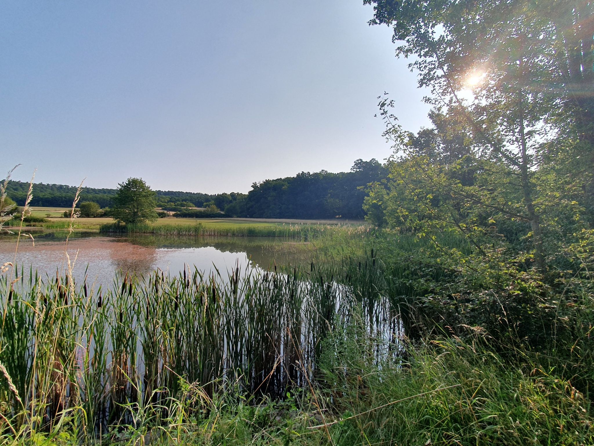 Colmberger See