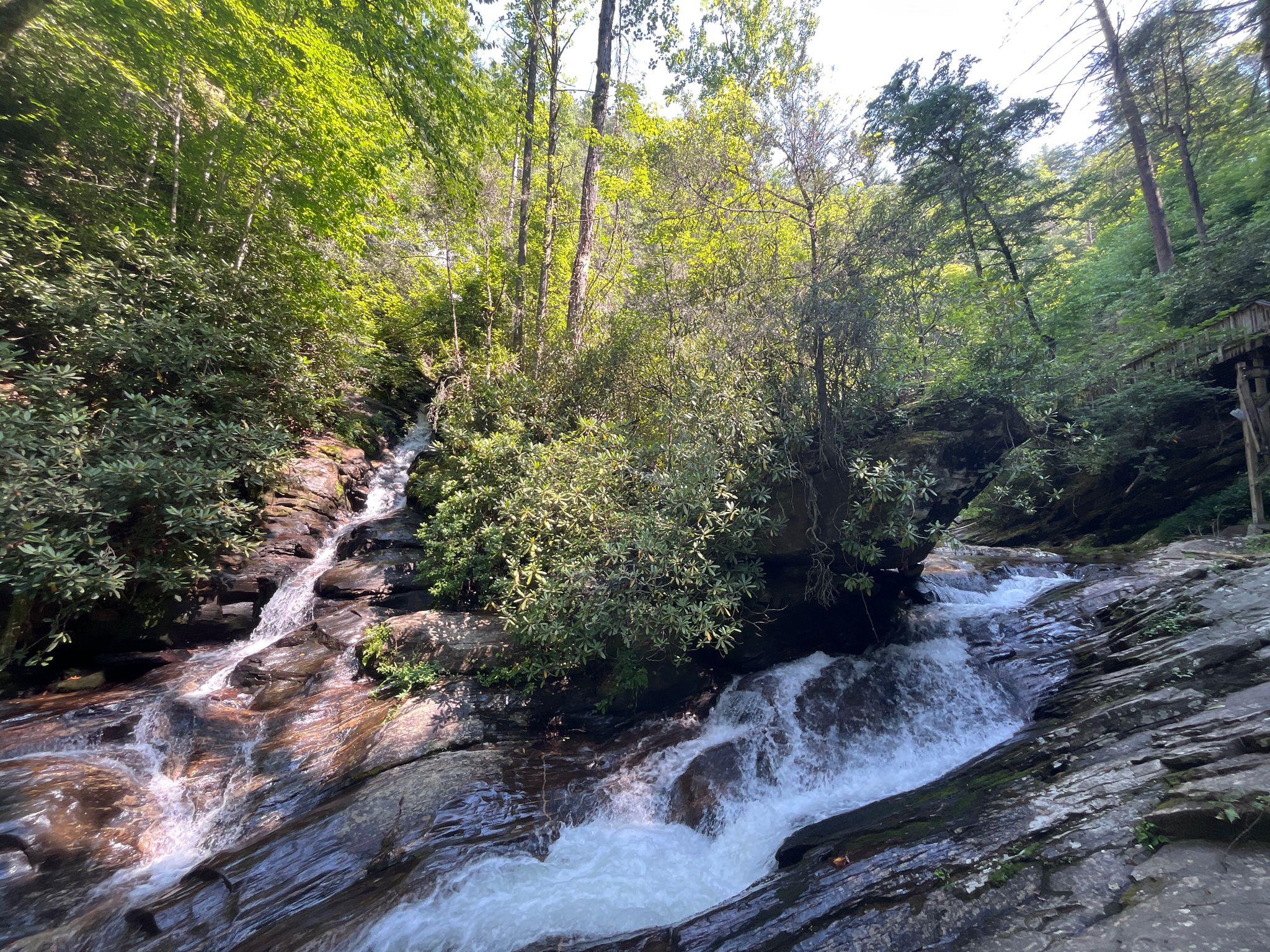 Waterfall cascading over rocks in a lush green forest under bright sunlight. - Dukes Creek Falls Trail