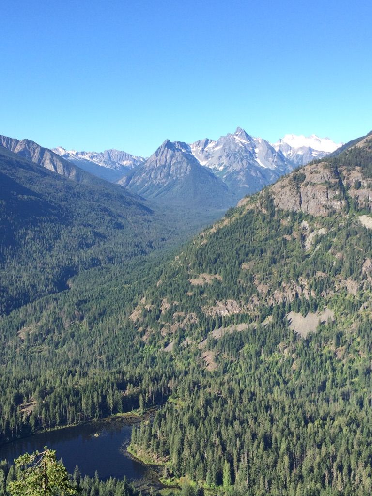 Expansive view of forested valleys and snow-capped mountains under clear sky. - McGregor Mountain Trail