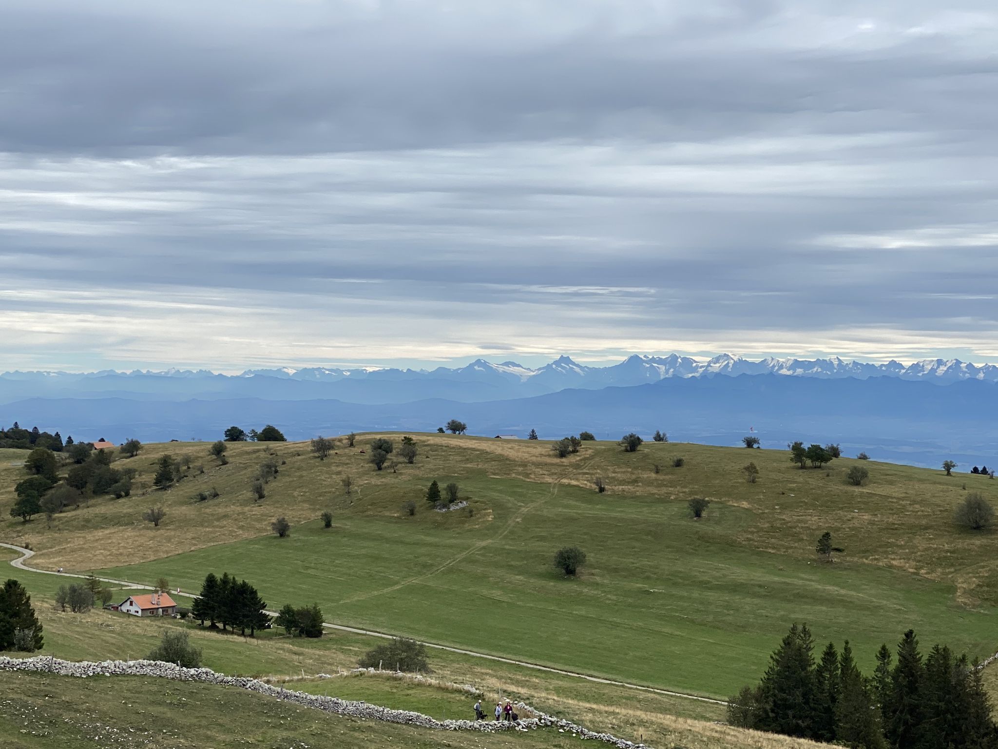 welch Panorama von Säntis über Jungfrau bis Mont Blanc und noch mehr