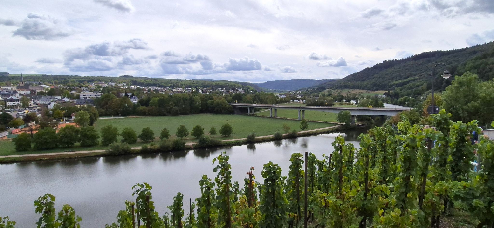 Blick über die Laurentius-Weinlage und die Laurentiusbrücke