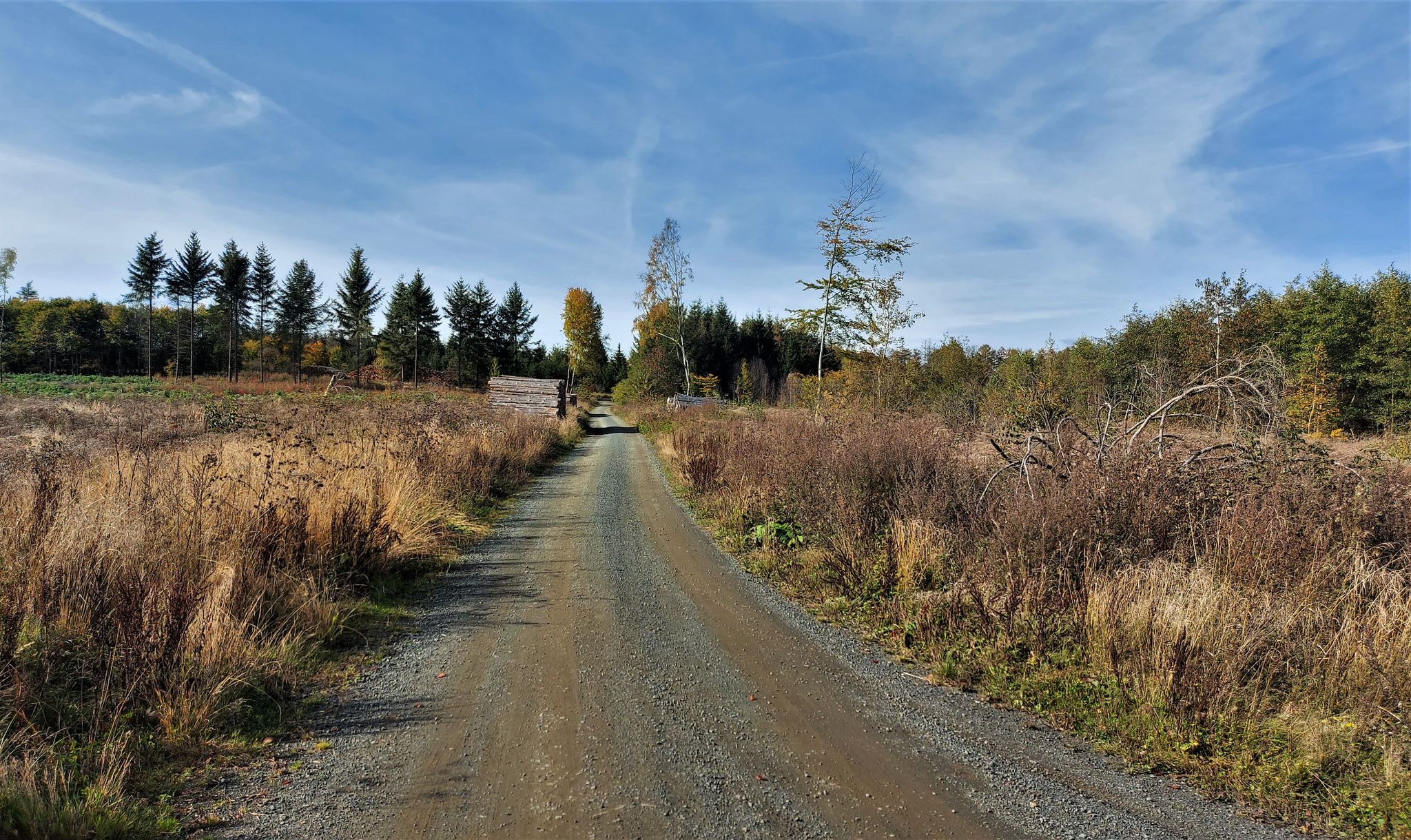 Unterwegs Richtung Wallenfelser Feld
