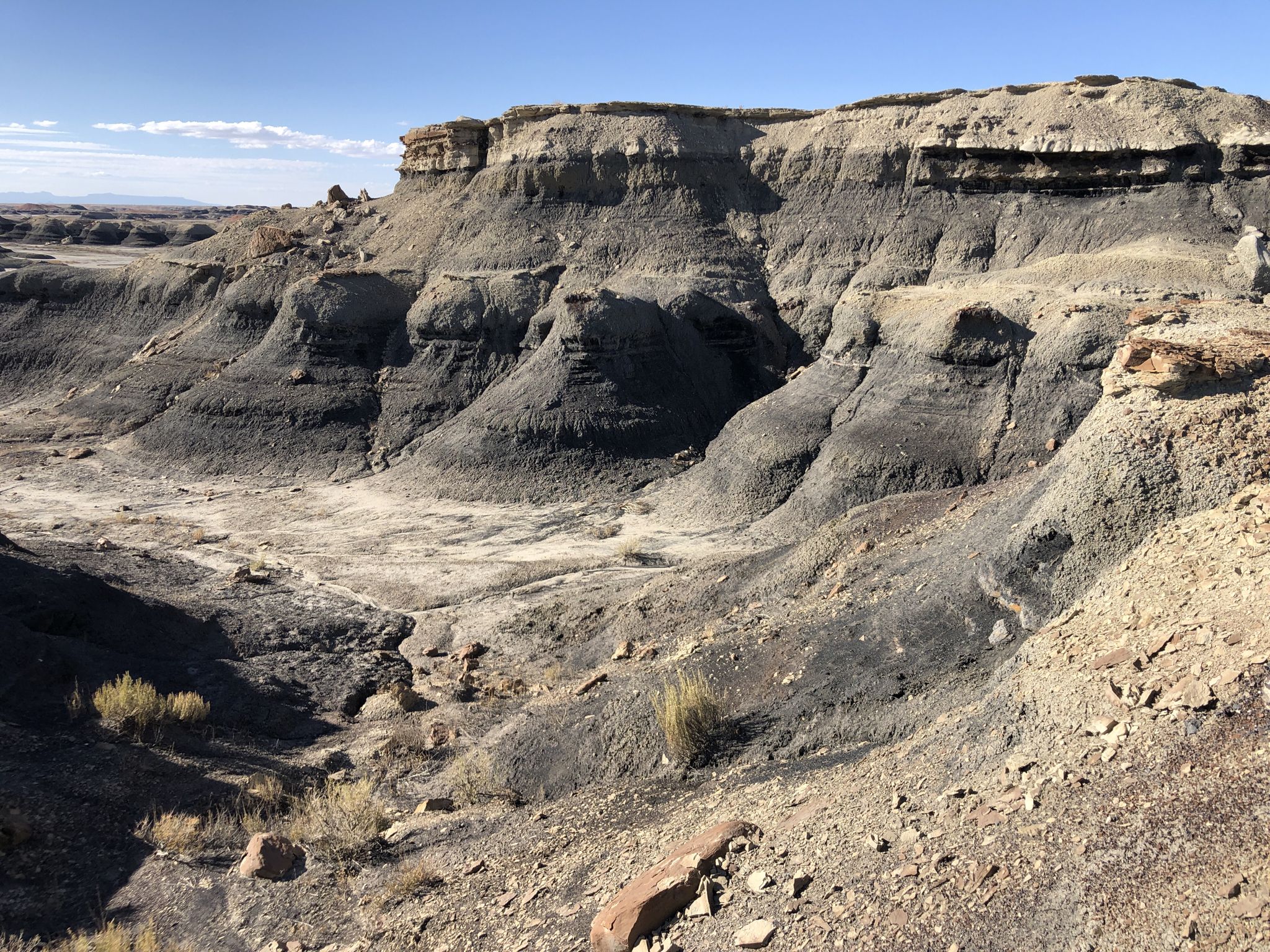 Eroded badlands with dark and light layered rock formations under a clear sky. - Bisti Trail