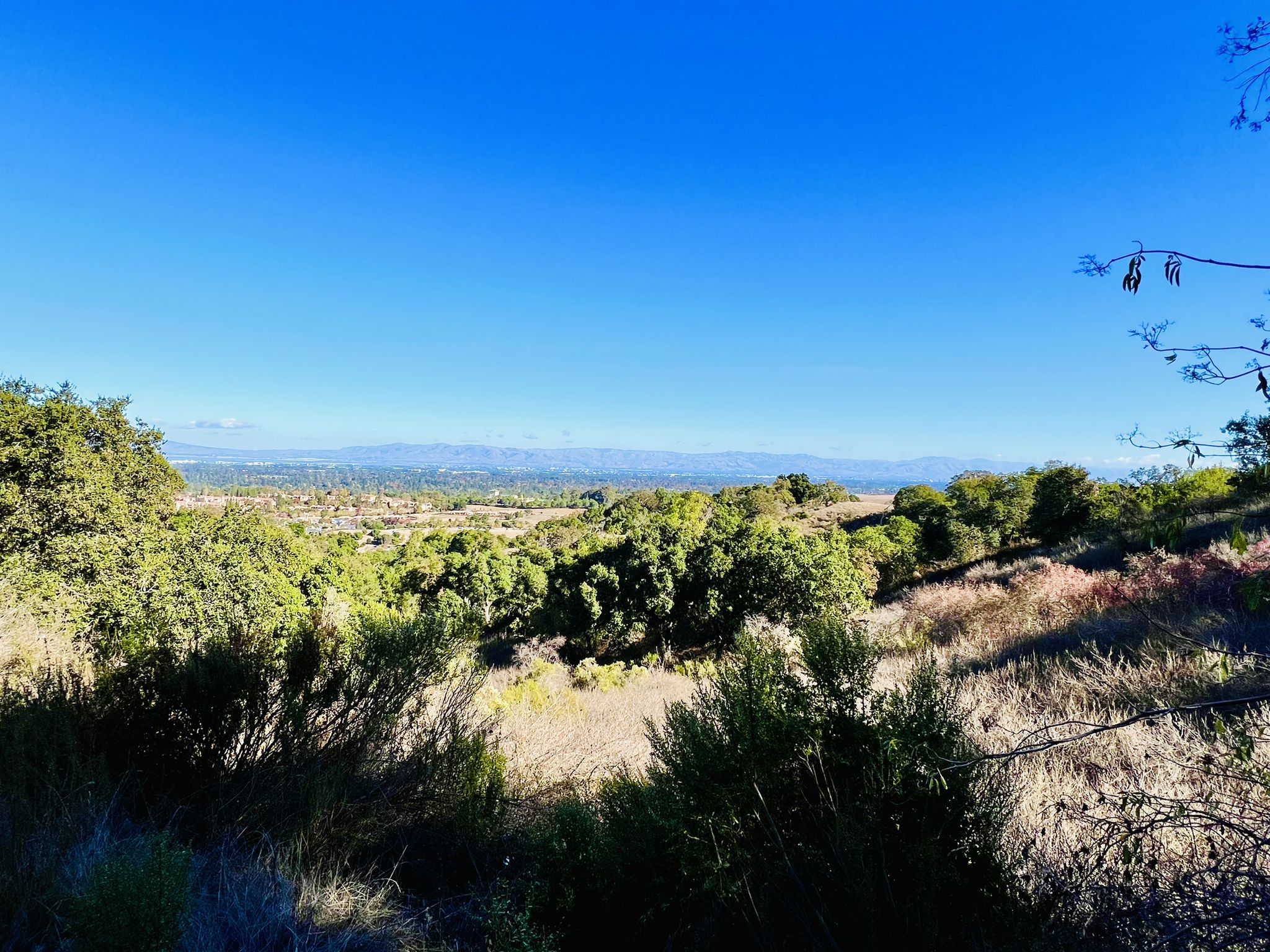 Sunny view of rolling green hills and distant mountains under a bright blue sky. - Rancho San Antonio County Park loop from Monta Vista High School