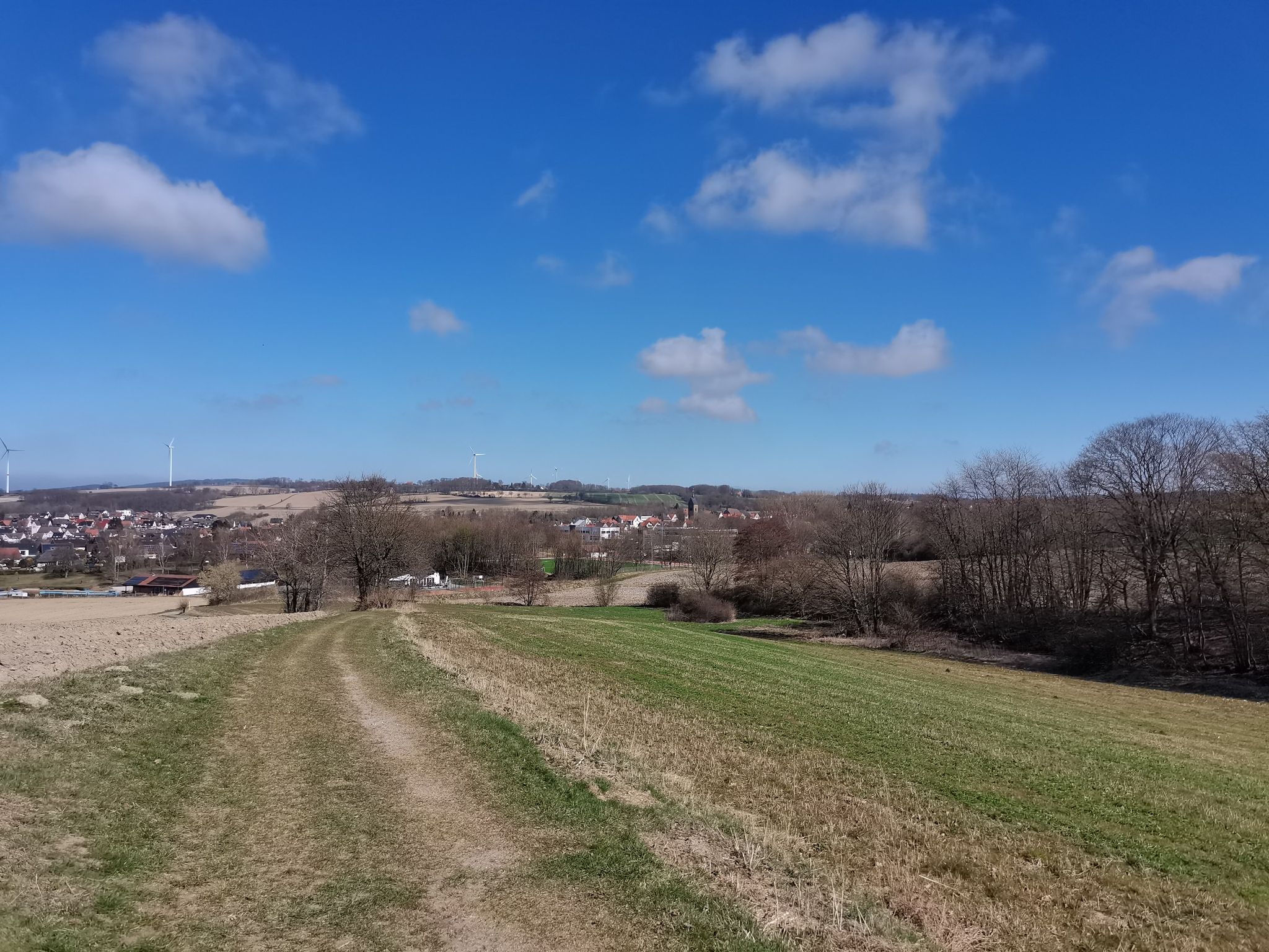 Bösingfeld