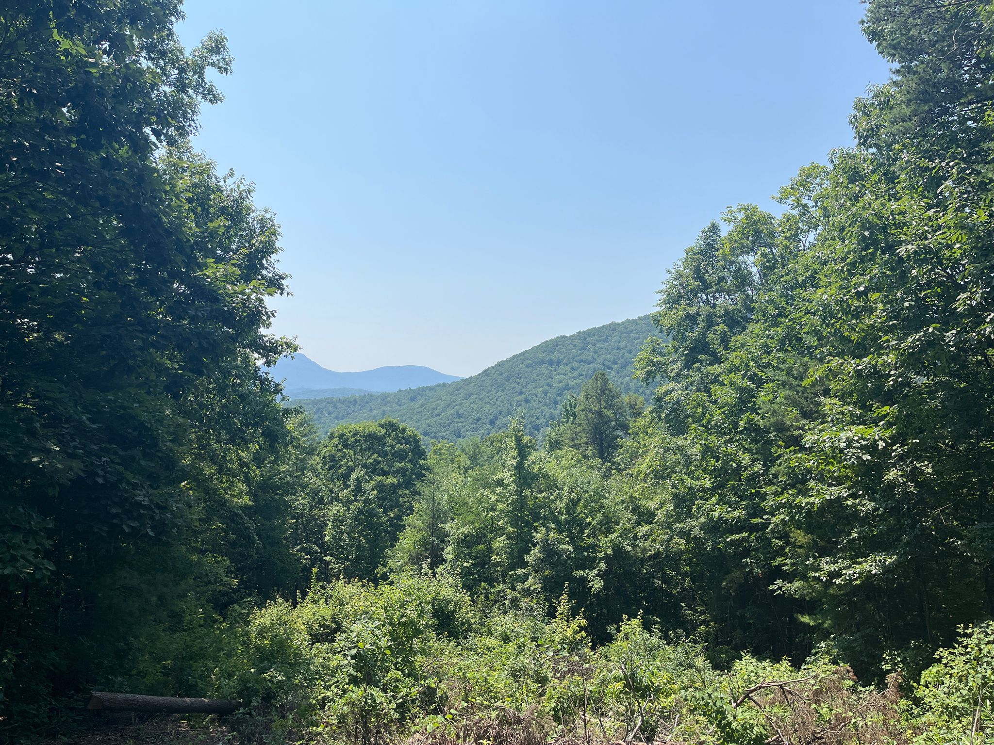 Lush green forest clearing with distant mountains under a clear blue sky. - Overlook on Yonah – Hogpen Gap loop from Helen