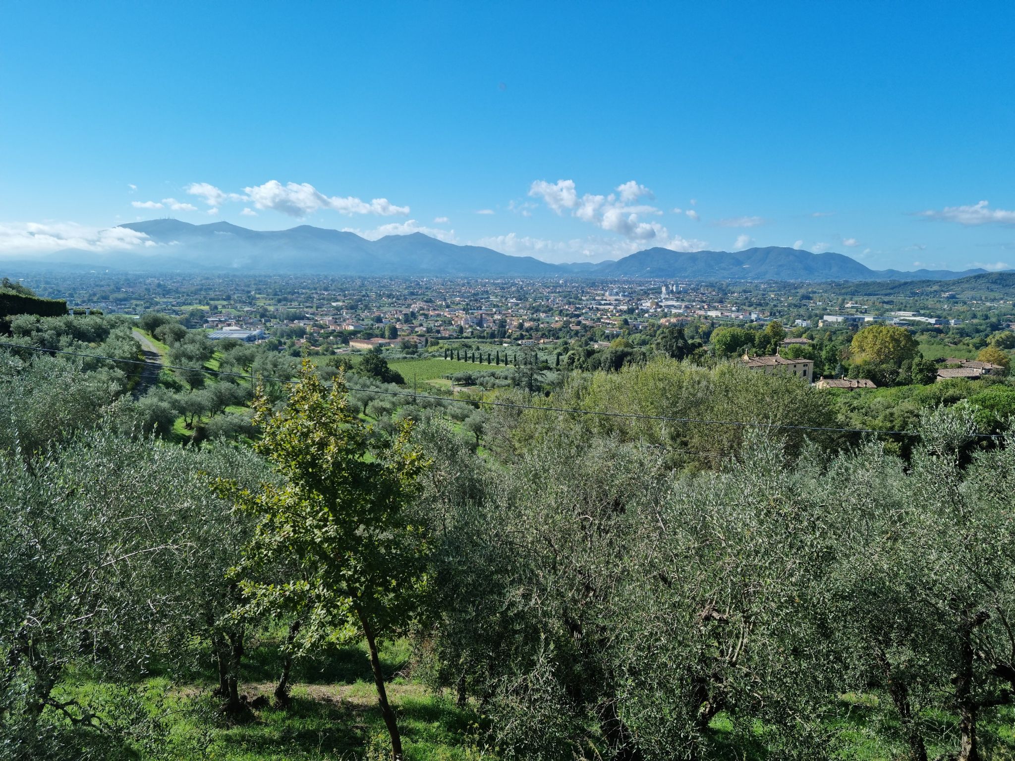 Lucca