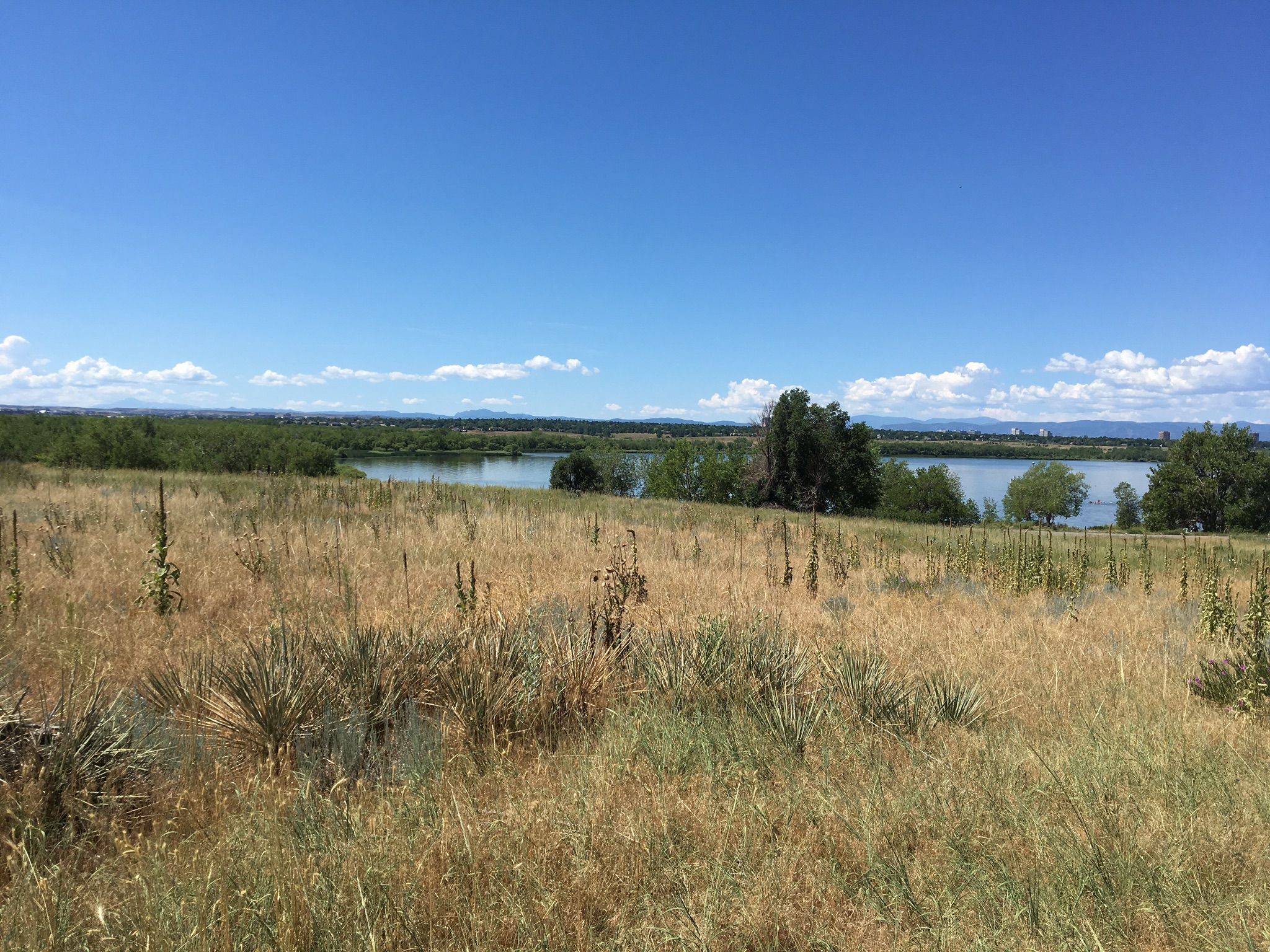 Expansive dry grassy field with distant lakes and mountains under blue sky. - Smoky Hill Trail
