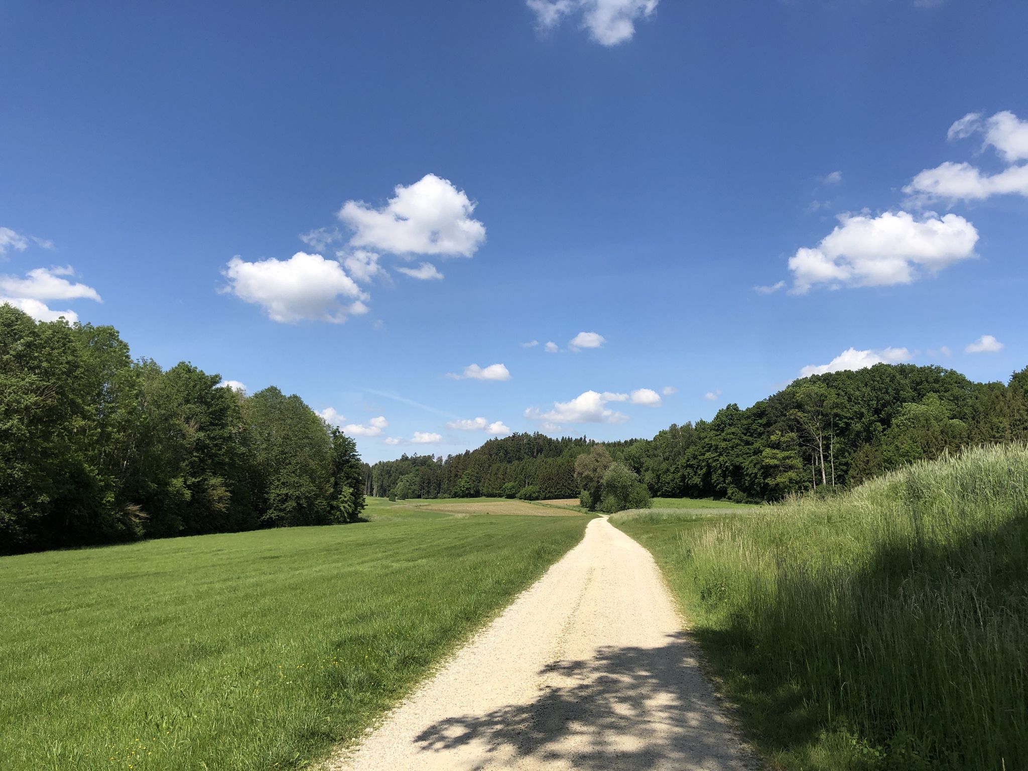 Dorf verlassen, ab in den Wald