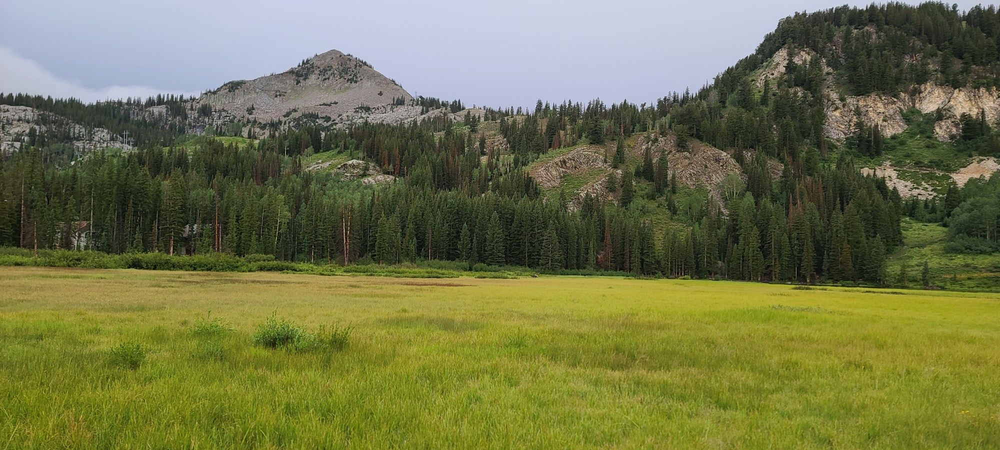 A wide green meadow with distant forested mountains under a cloudy sky. - Silver Lake Nature Trail