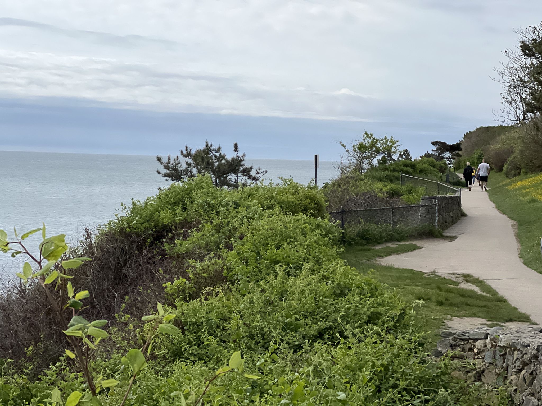 Paved coastal path with dense green bushes and people walking. - Start of Newport Cliff Walk – Forty Steps loop from Newport
