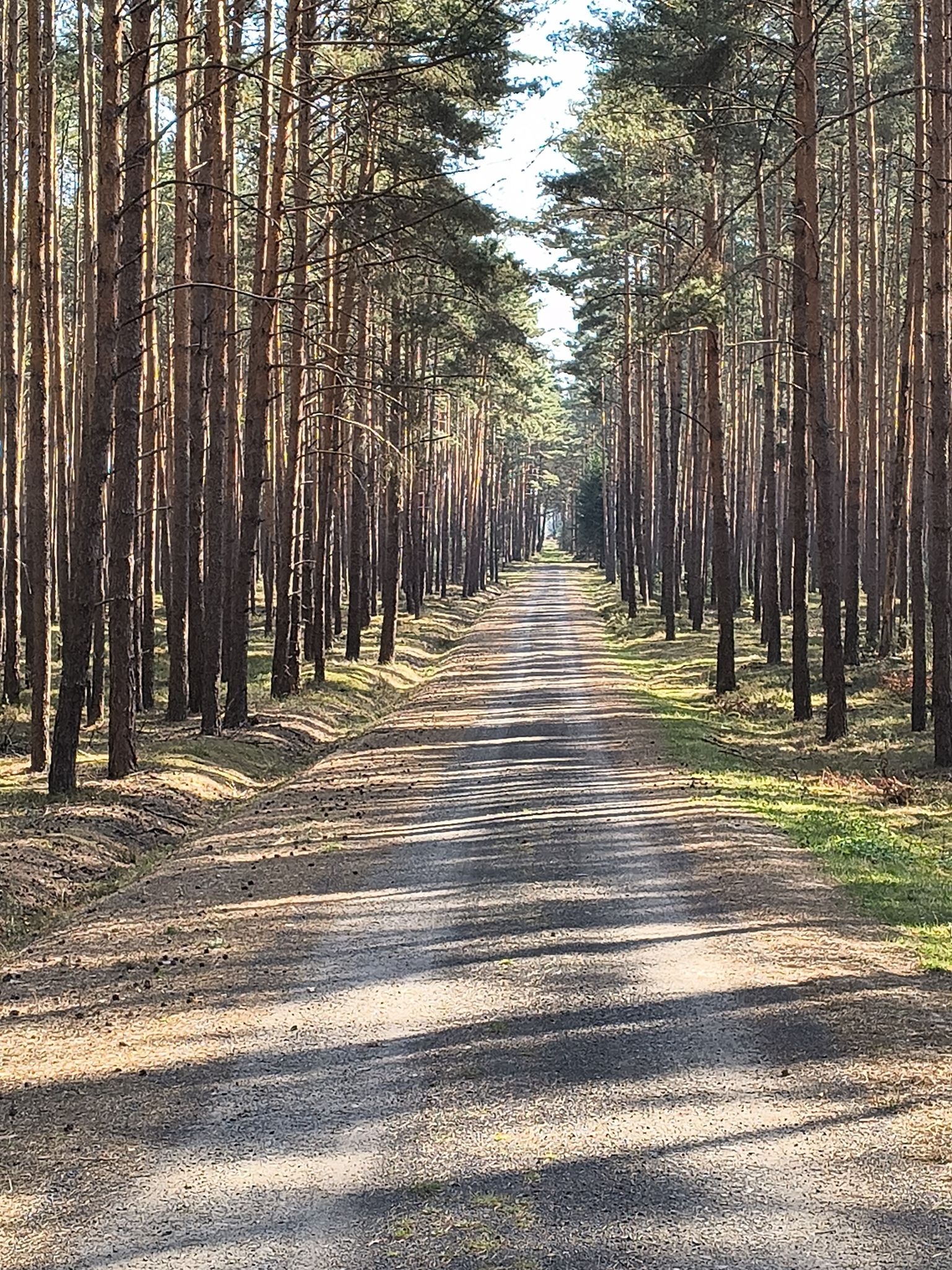 Leśna 19