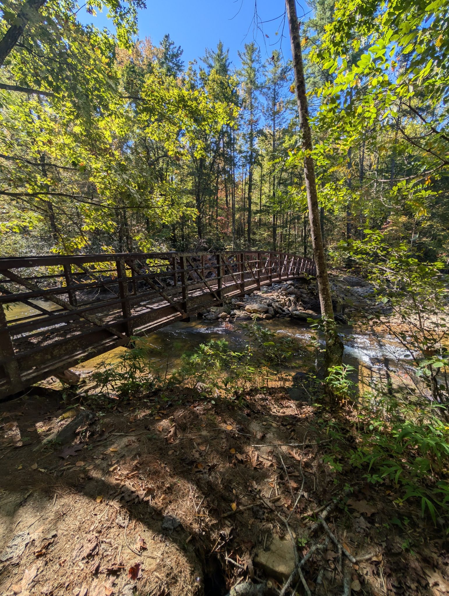 Metal footbridge crossing a rocky stream, surrounded by sunlit green trees. - Foothills Trail: Bad Creek to Lower Whitewater and Hilliard Falls