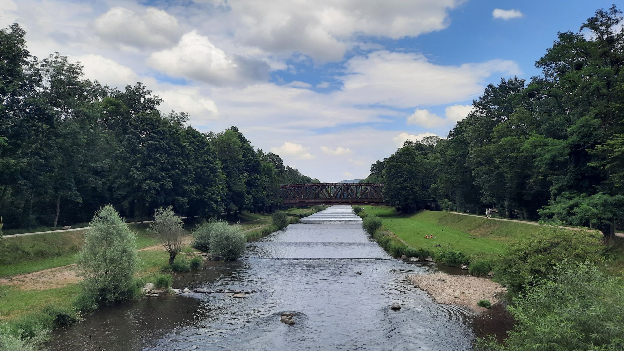 Die Wiese