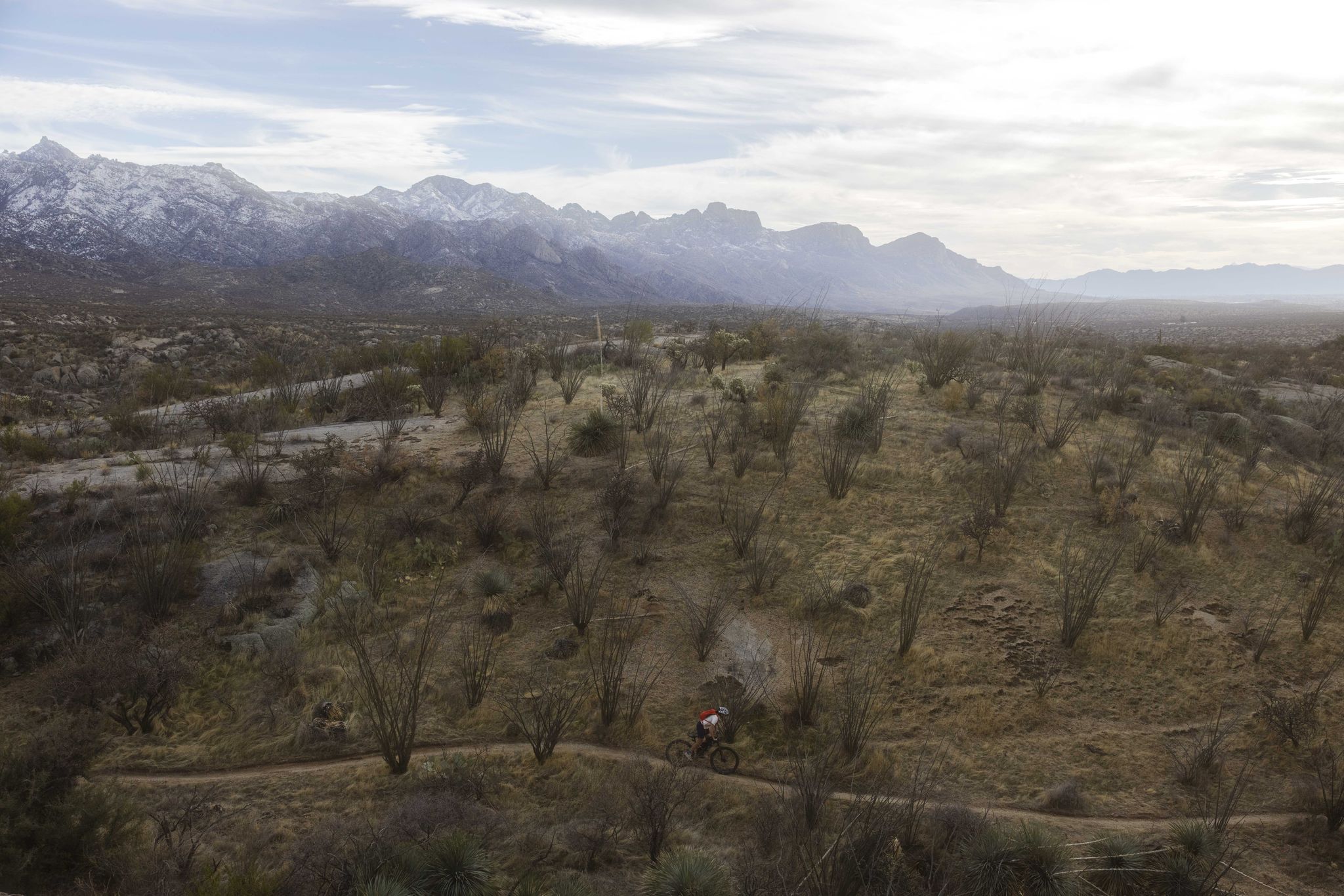 A mountain biker on a dirt trail in an arid landscape with distant snowy mountains. - Golder Ranch, 50 Year Trail, and Middlegate Loop