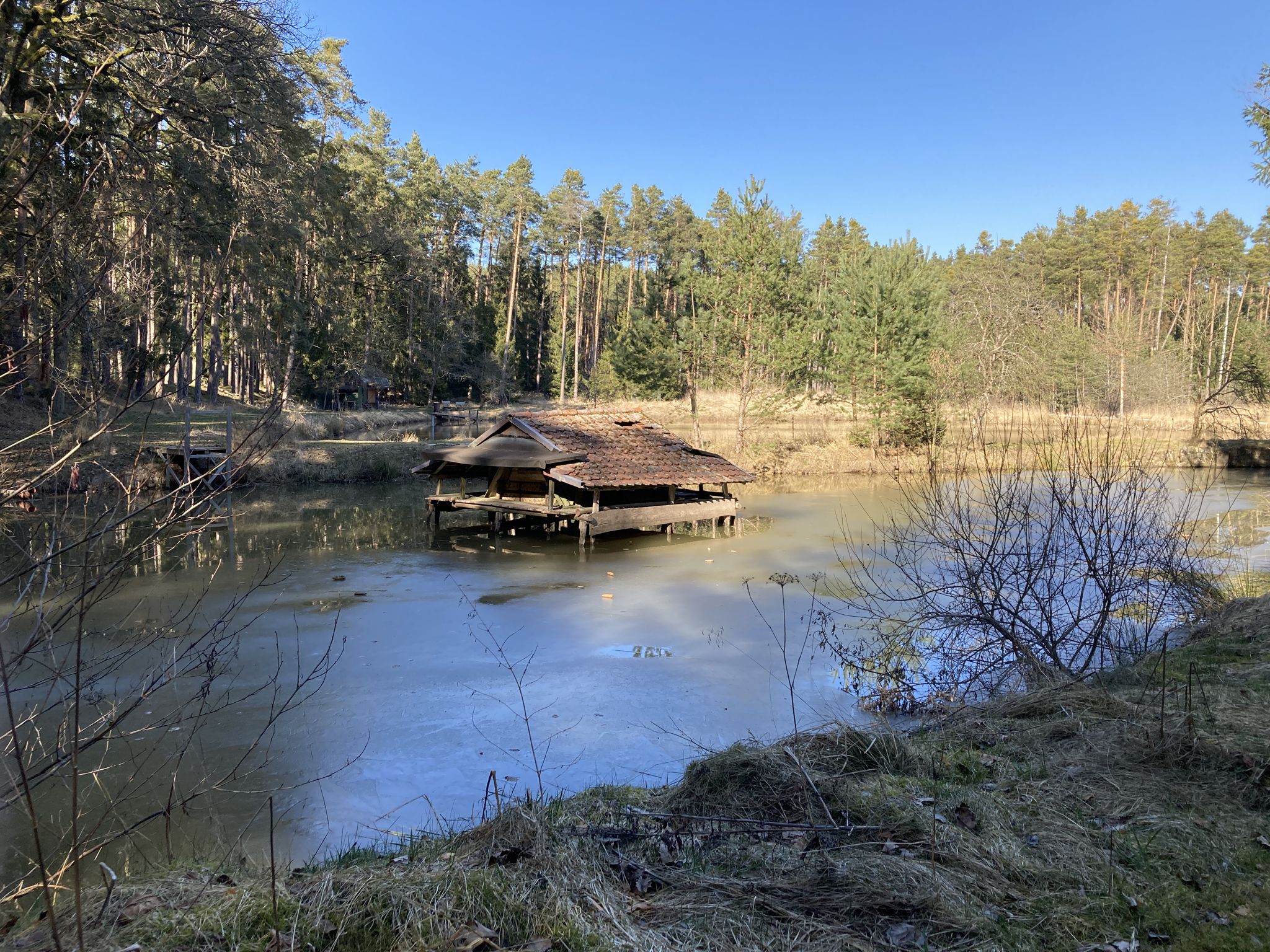Entenhausen ohne Enten