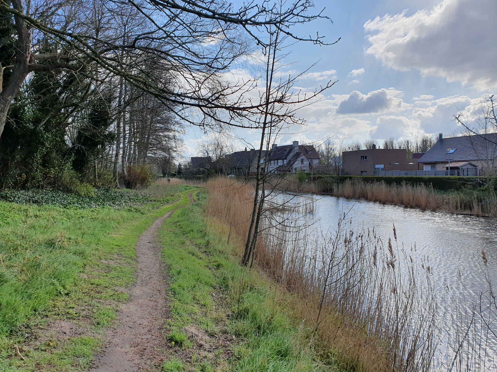 Trail