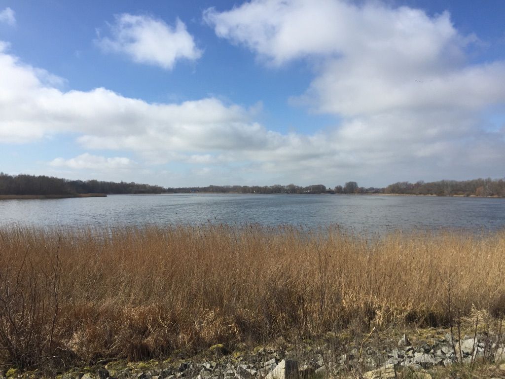 Prohner See
