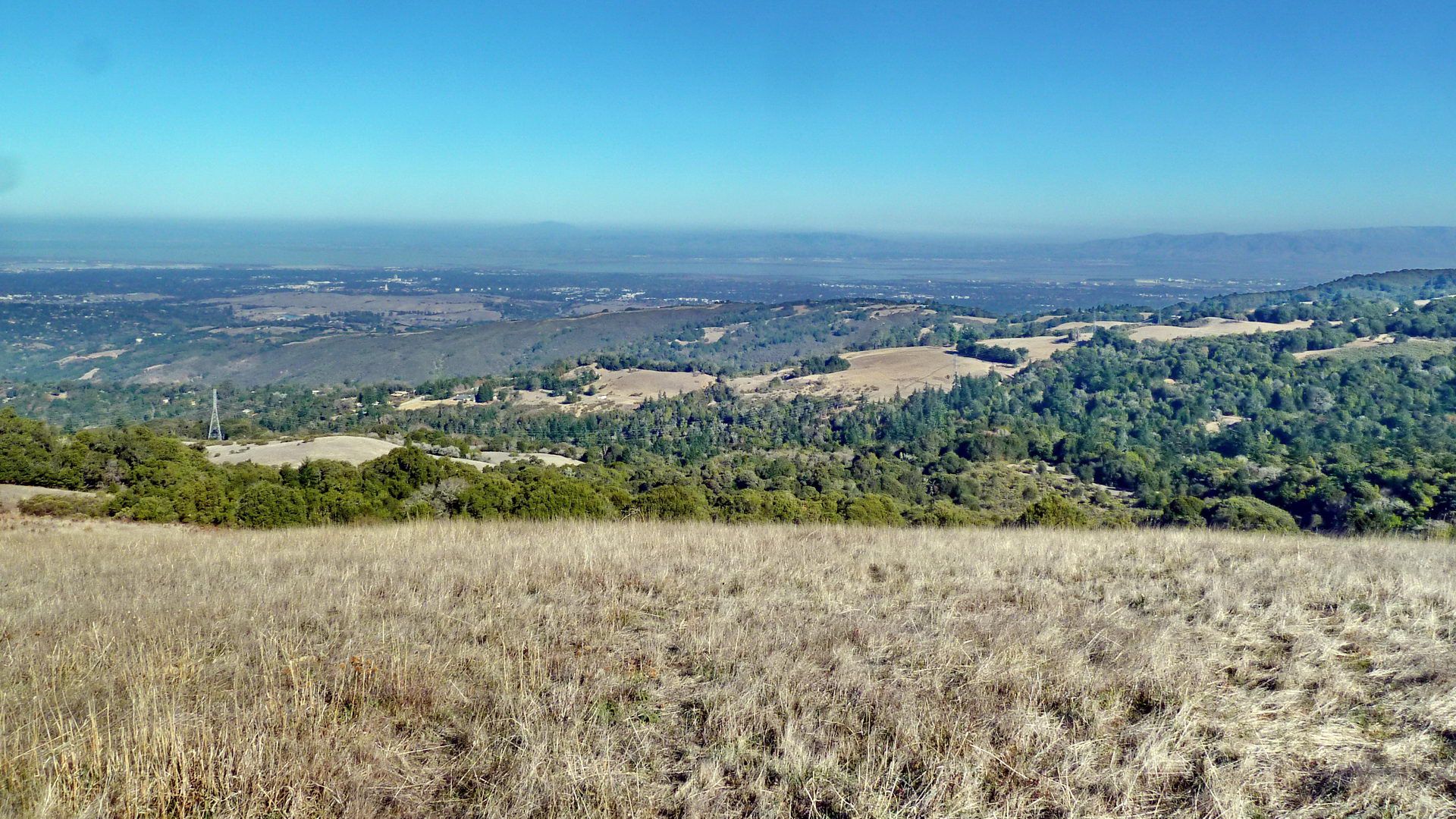 Expansive view of dry grassy hills and distant valley under clear sky. - Skyline Boulevard Viewpoint – Borel Hill loop from Russian Ridge Open Space Preserve